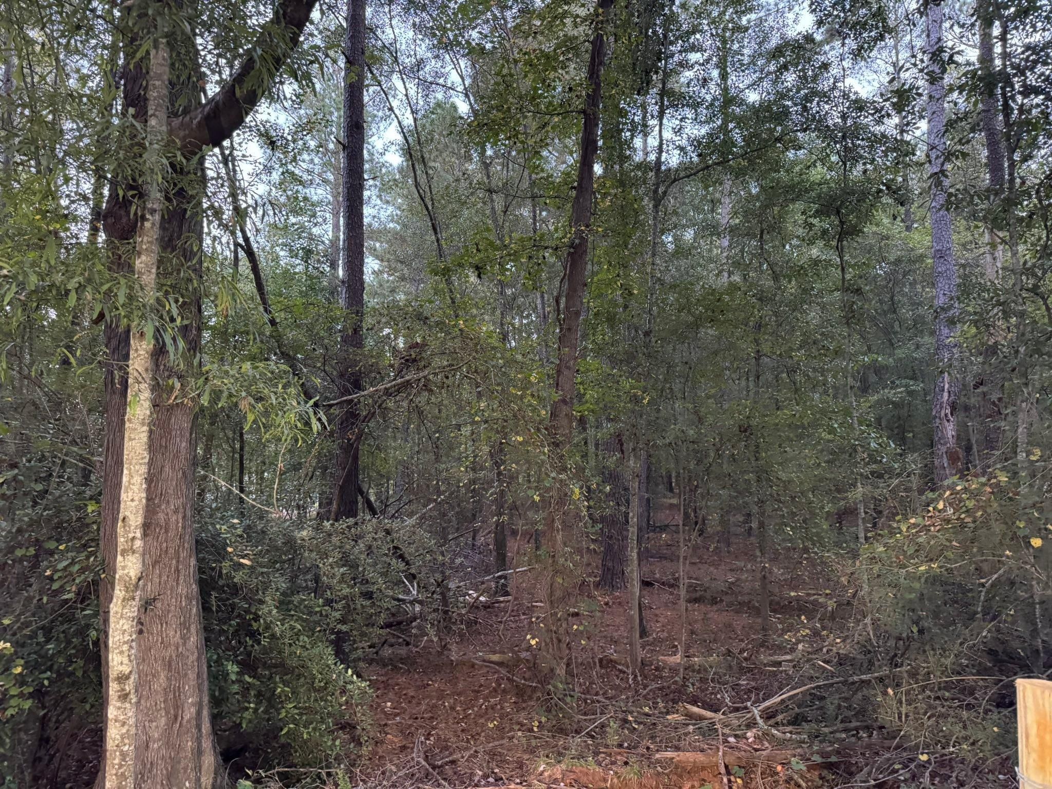  for KLNAX Enterprises in Newton County, GA