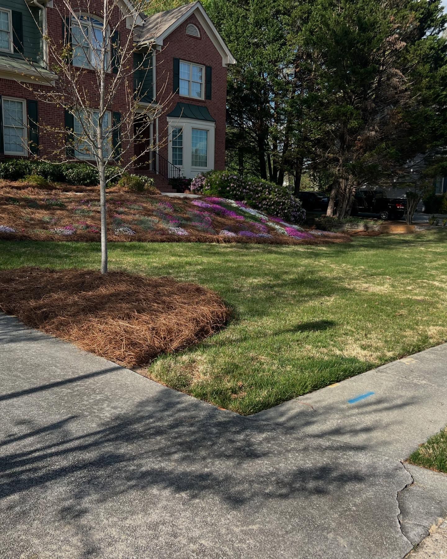 All Photos for Amerigreen Lawn & Landscape in Atlanta, GA