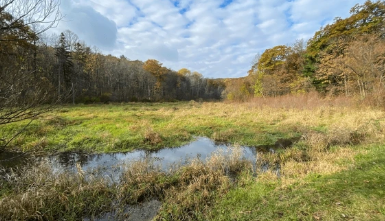  for Bluff Country Whitetails in Grand Ledge, MI