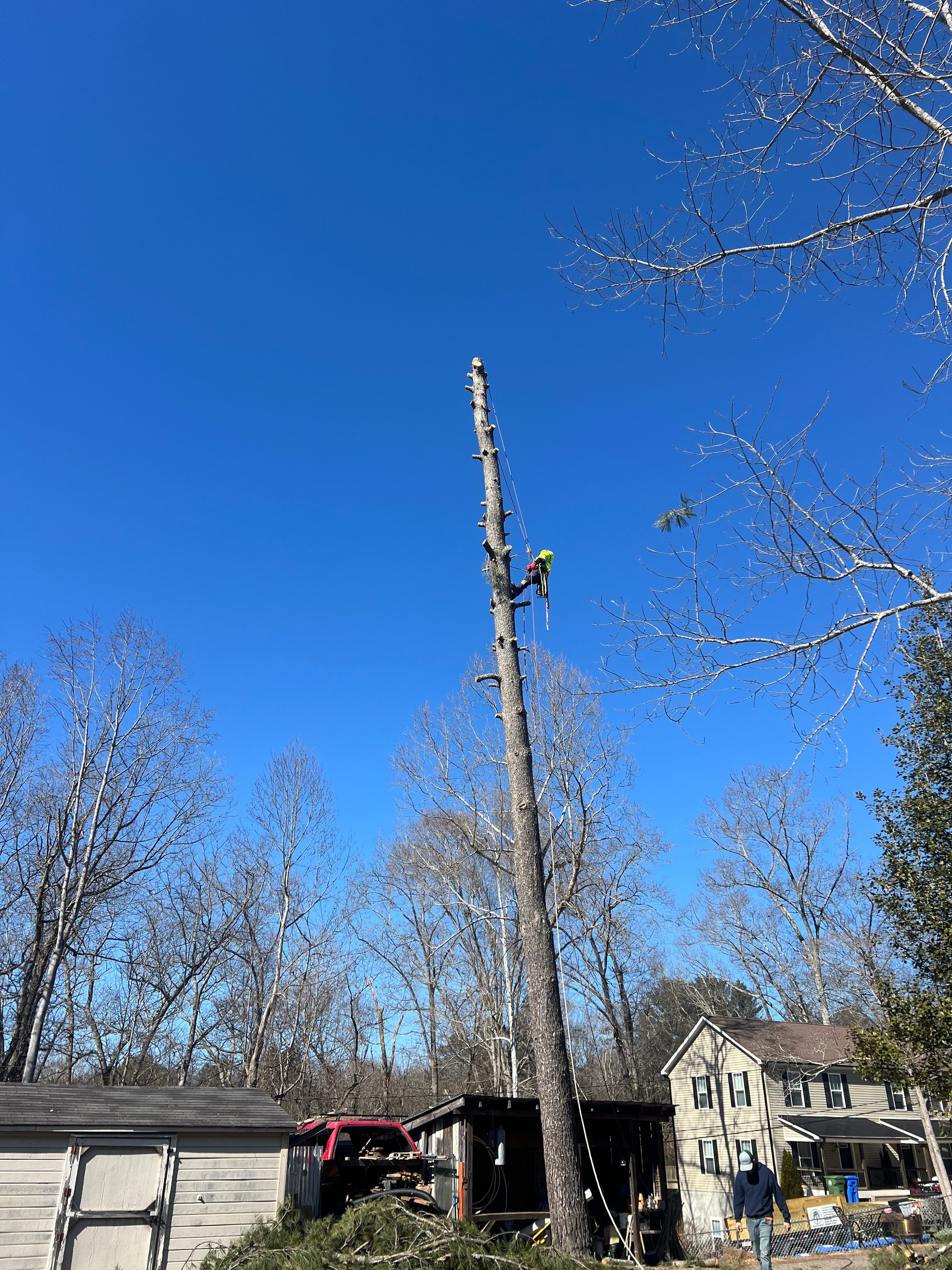  for Ground To Sky Tree Care in Asheville, North Carolina