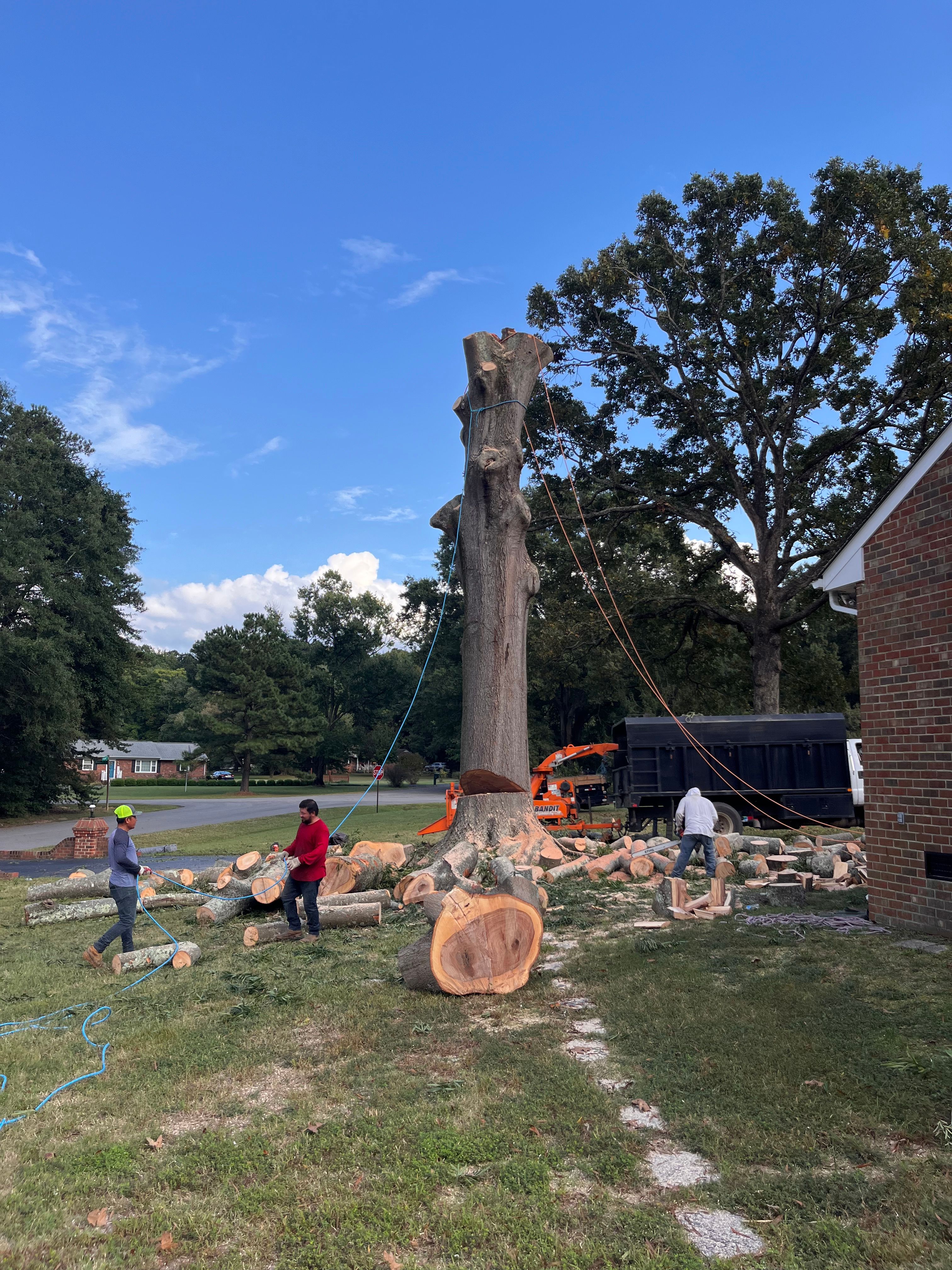  for Ricky's Tree Service & Property Care in Orange, VA