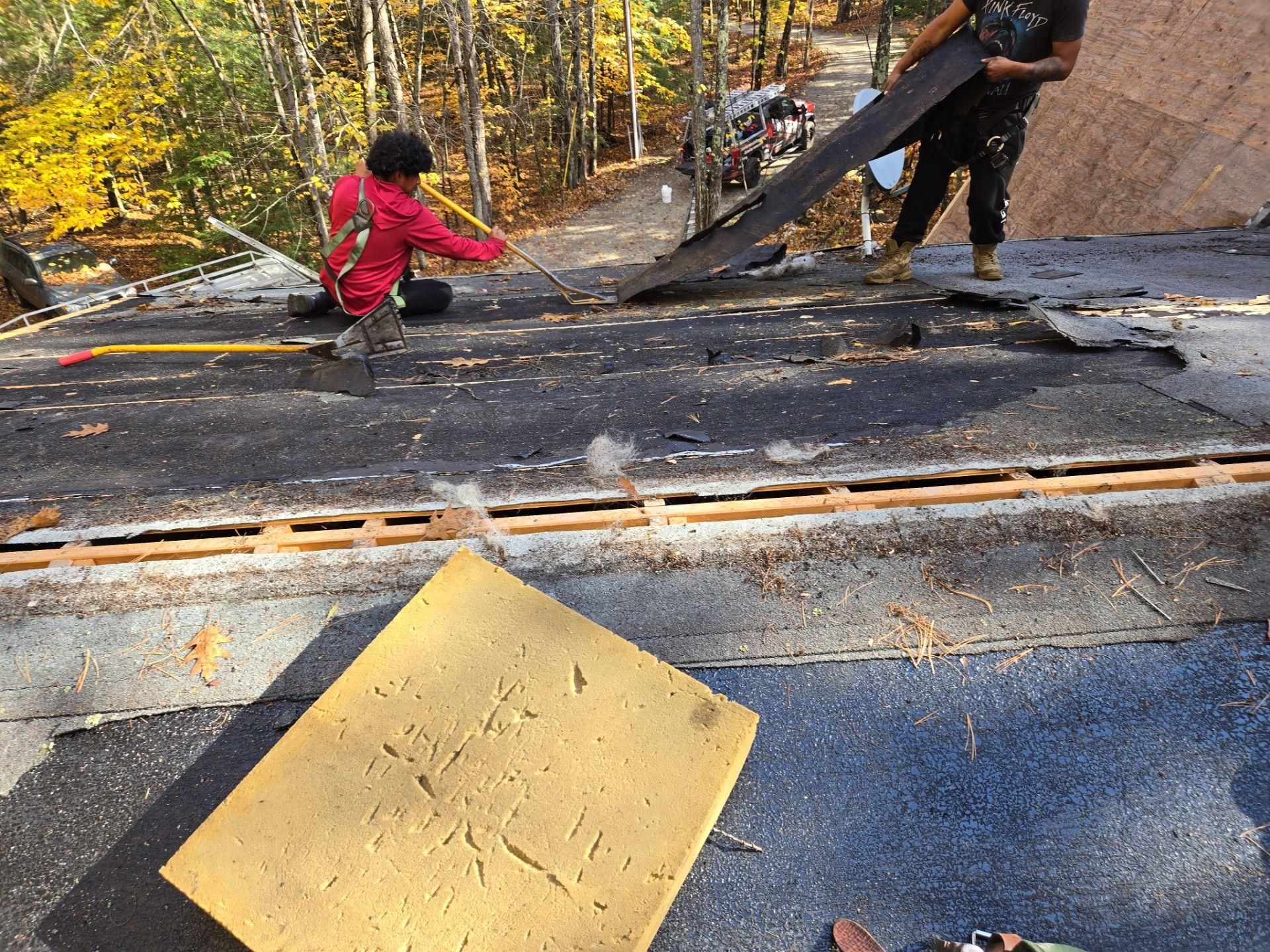  for Jalbert Contracting LLC in Alton, NH