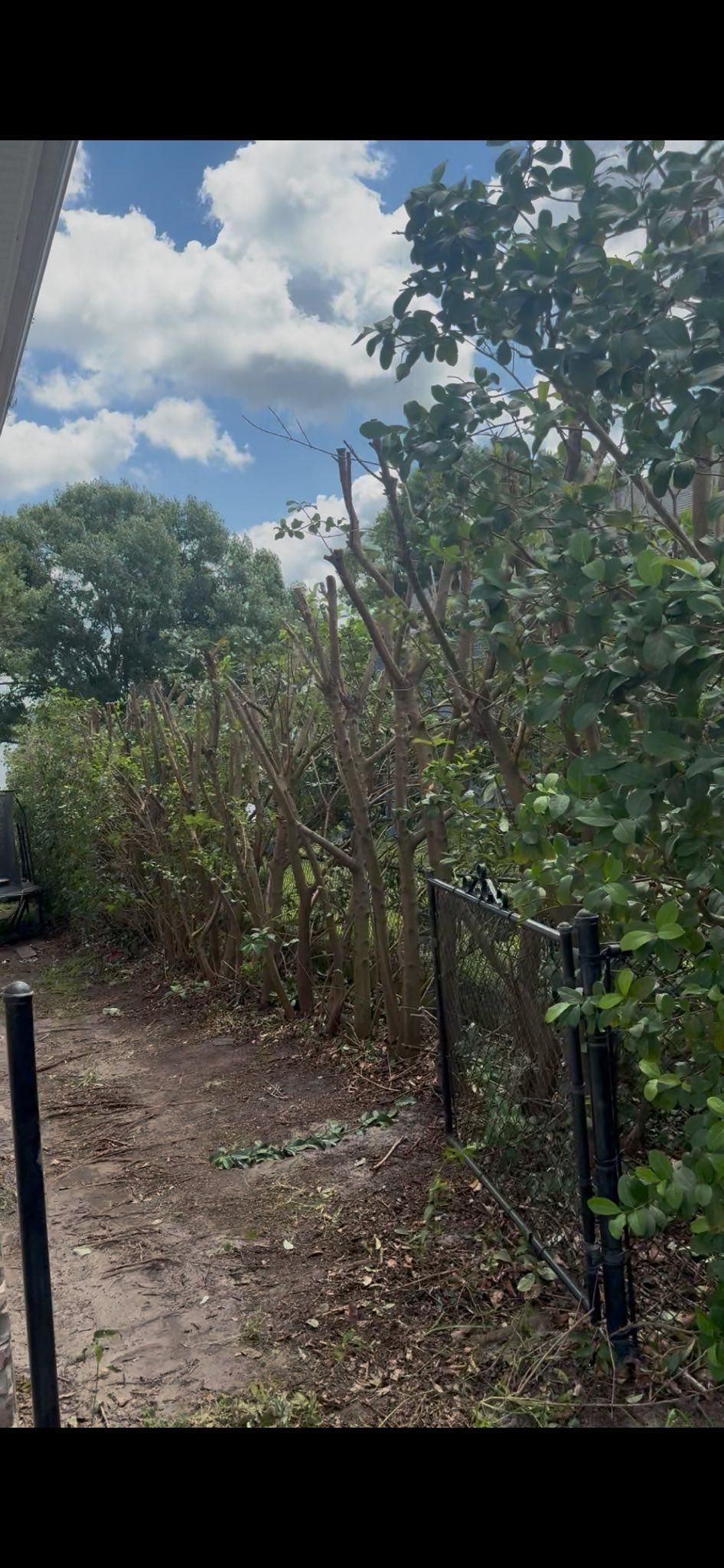  for New Era Lawn Care & Landscaping in Lakeland,  FL