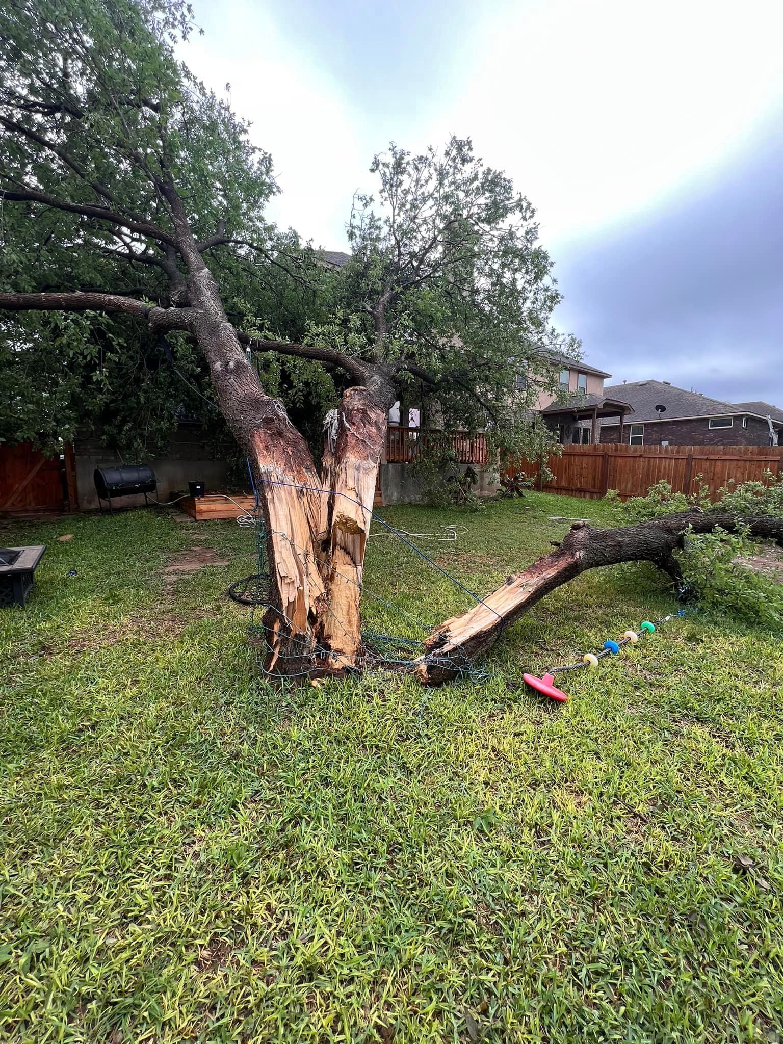  for 210 Tree Care in San Antonio, TX