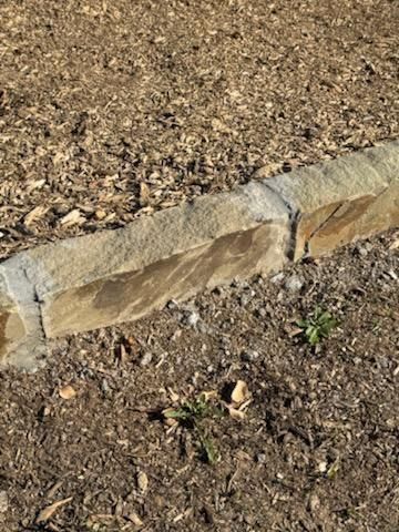  for Rojas Contractors in Fort Worth, TX