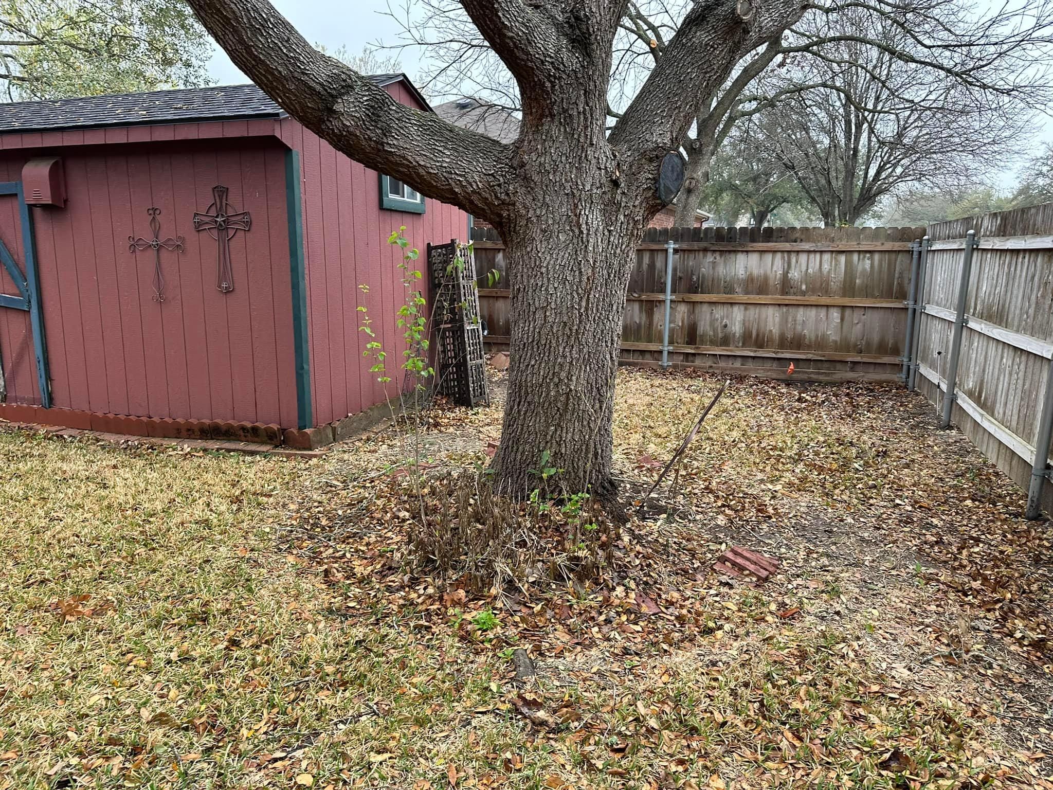 Mowing for Allen Lawn Care in Taylor, Texas