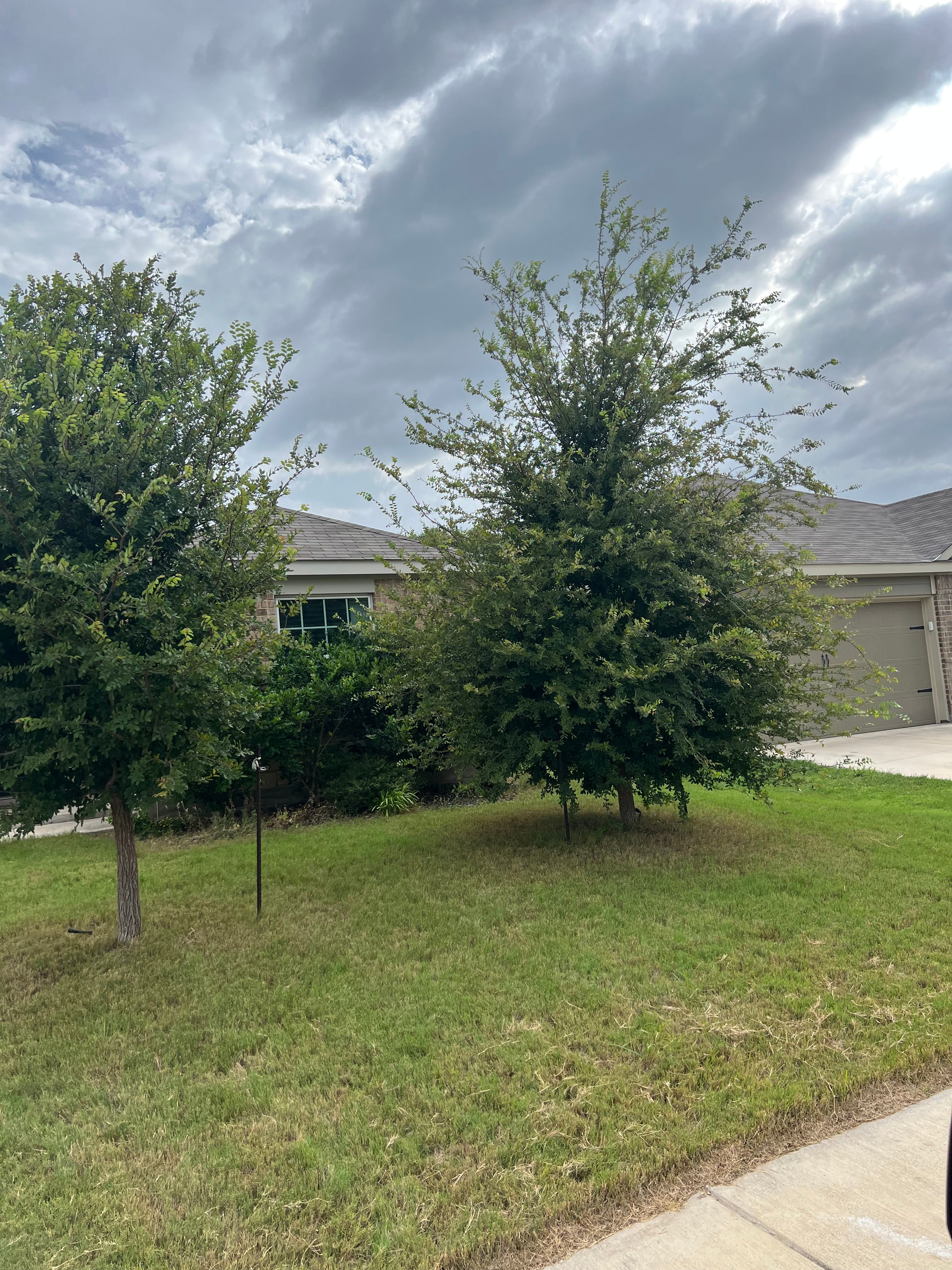  for DR Landscape in San Antonio, TX