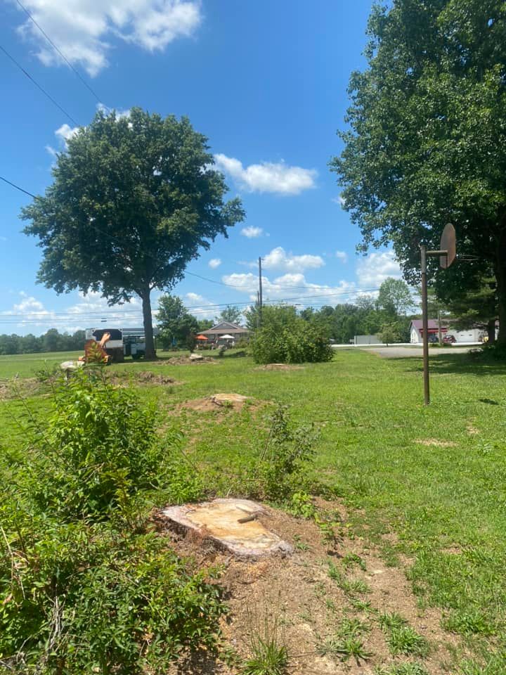 Tree Removal for Atwood’s Tree Care in Liberty,  KY