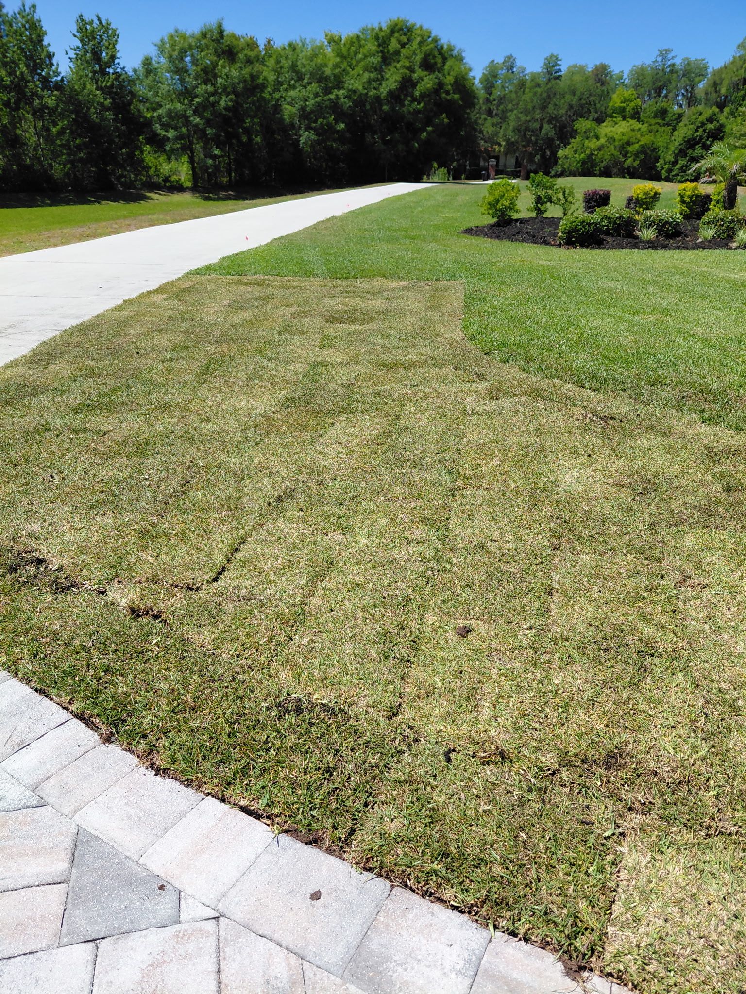  for Gulf Bay Sod in Clearwater, FL