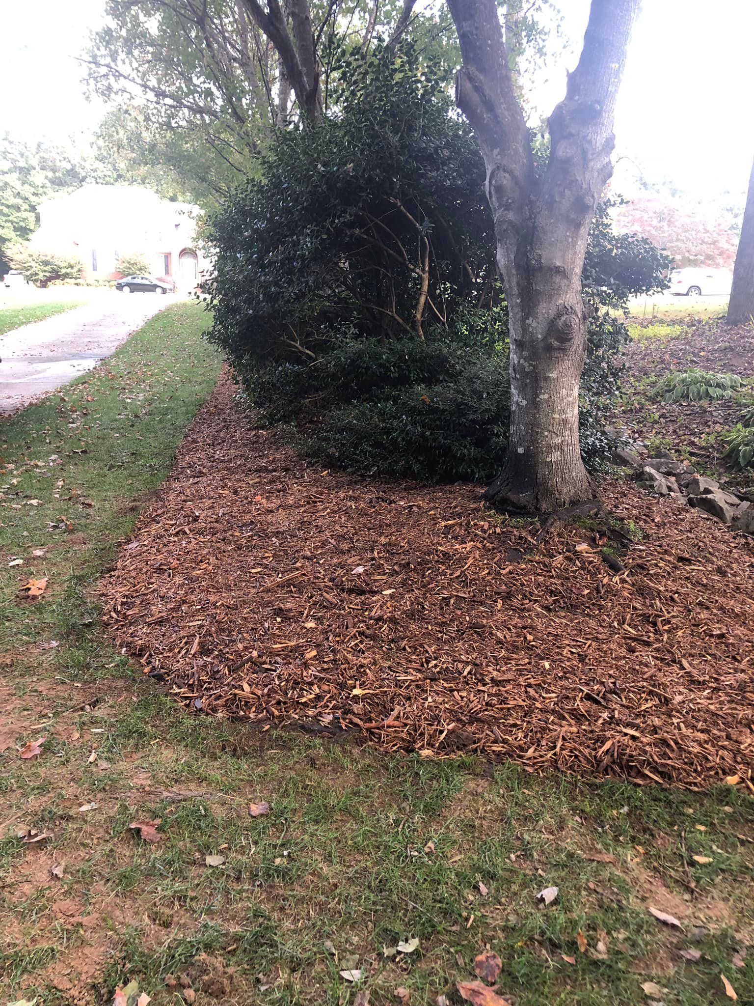  for Down To Earth Tree and Landscaping in Greenville, SC