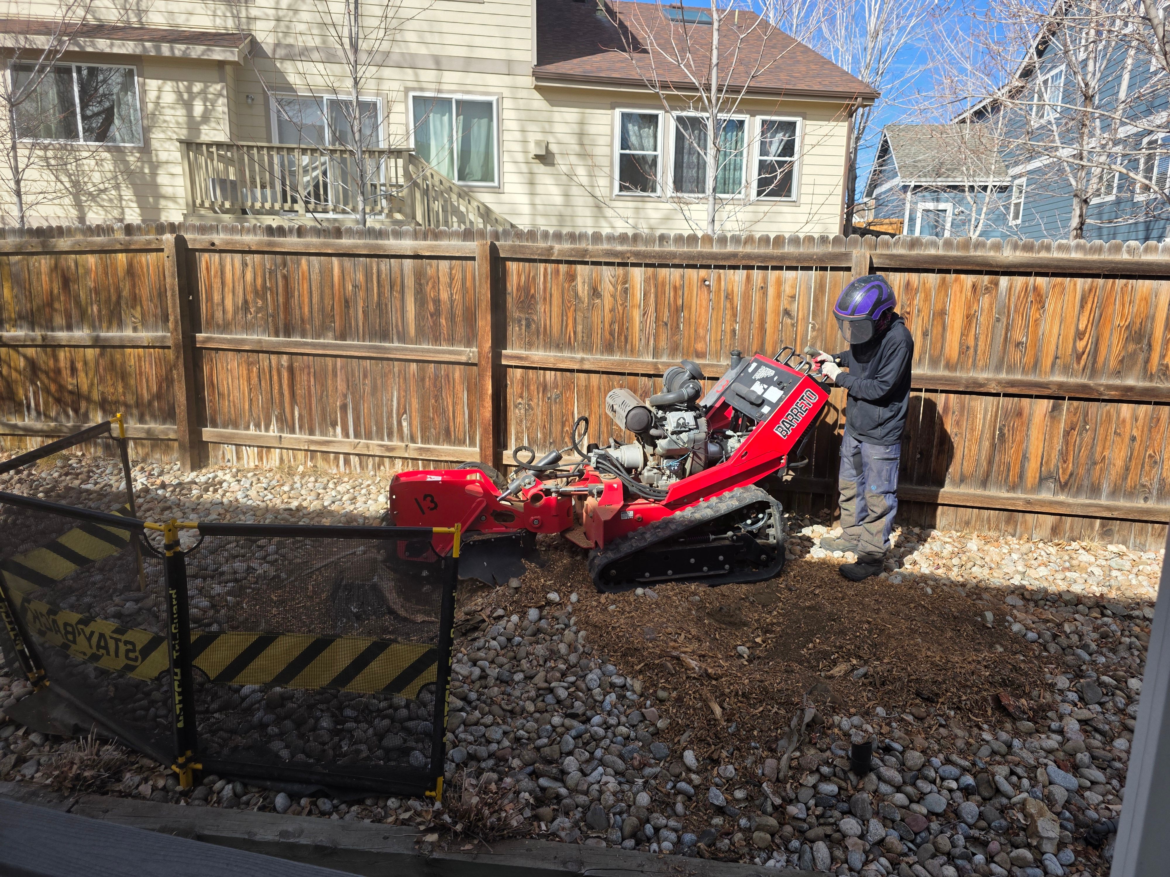 All Photos for Beetle Busters LLC in Centennial, CO