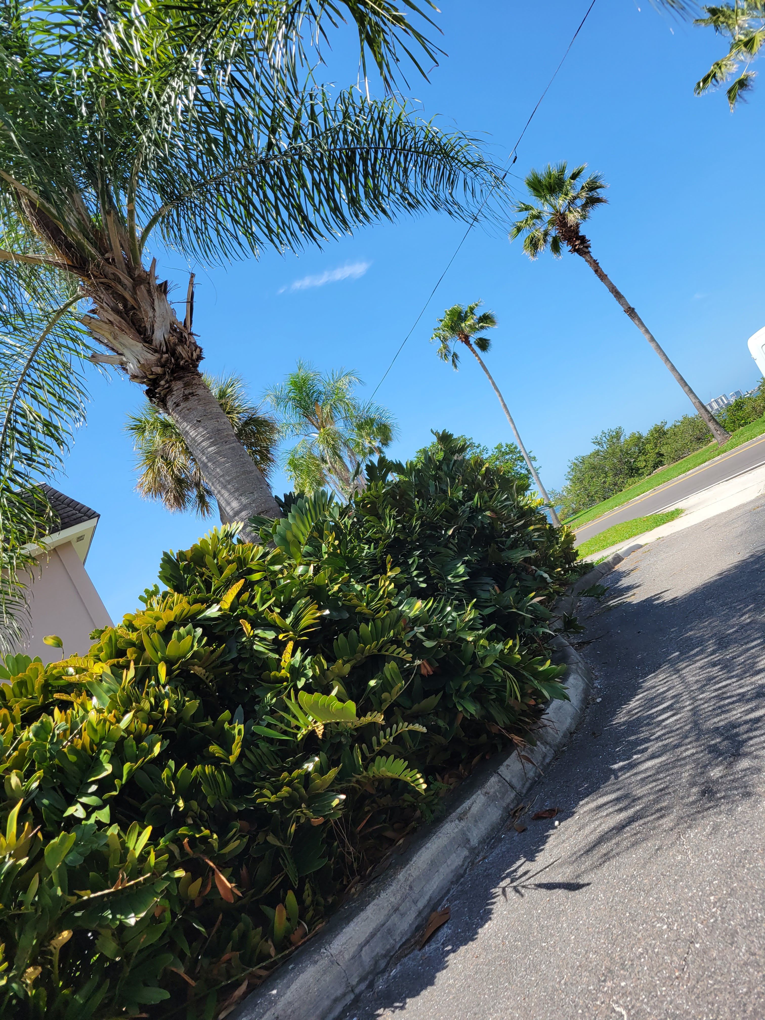  for Millenium Construction & Property Management in Tampa, FL