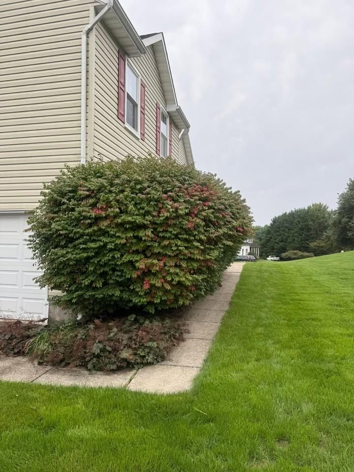  for RDR Landscaping in Baltimore, MD