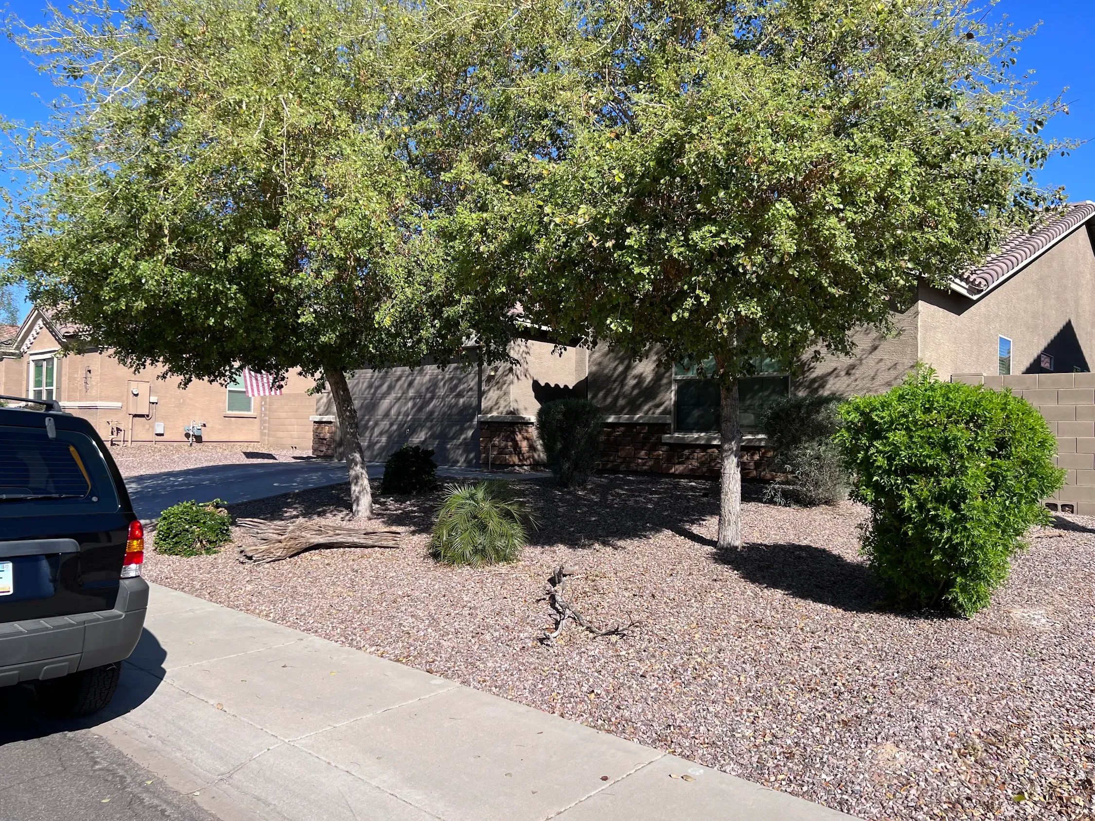 All Photos for Citiscapes, LLC in Phoenix, AZ