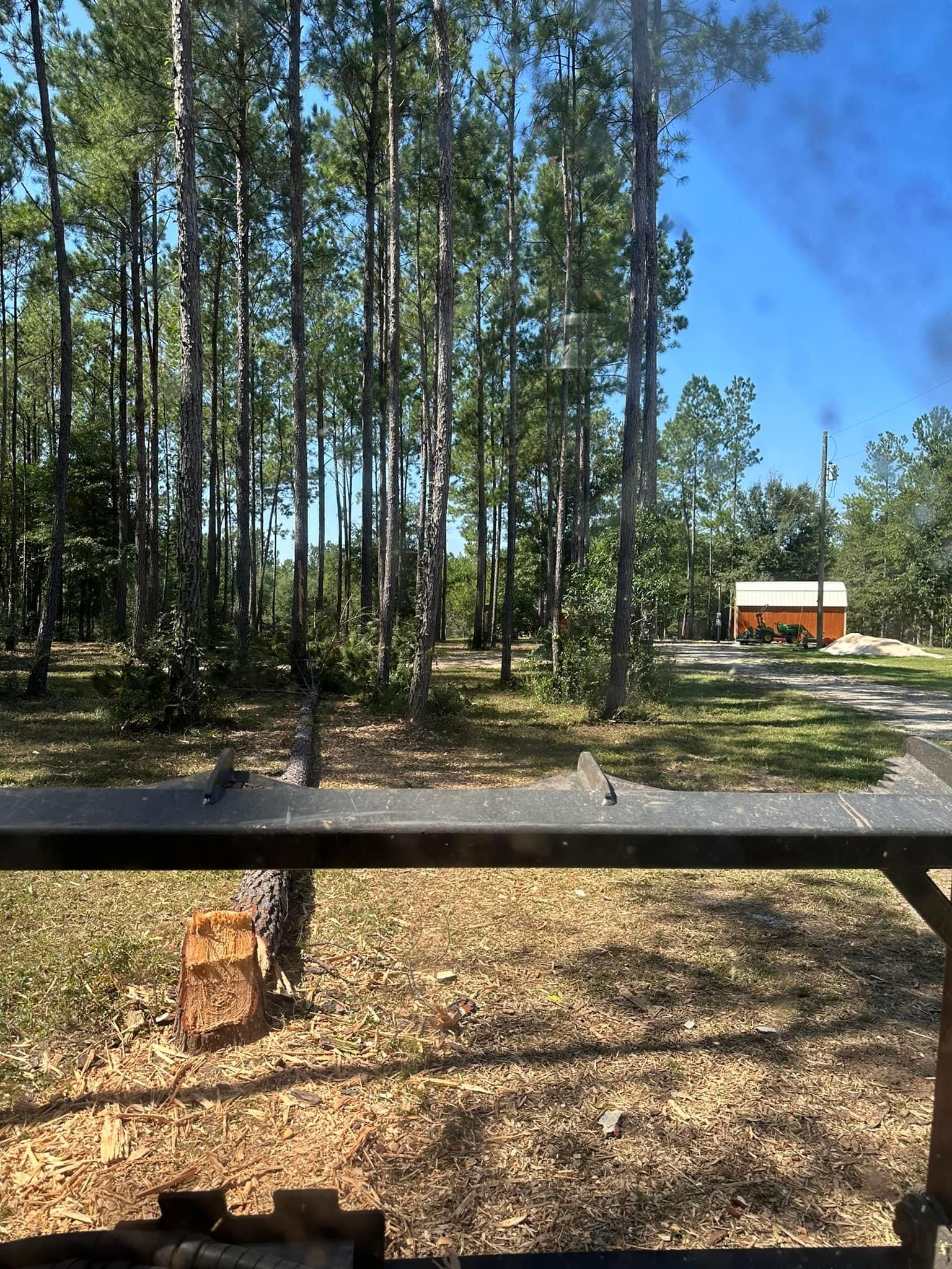 All Photos for White’s Land Maintenance in Milton,, FL