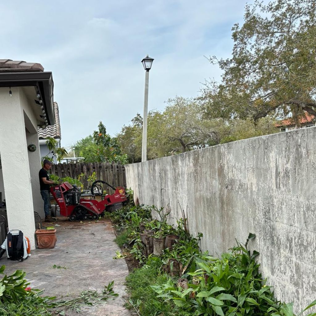  for Nurry Tree Services in Miami, FL