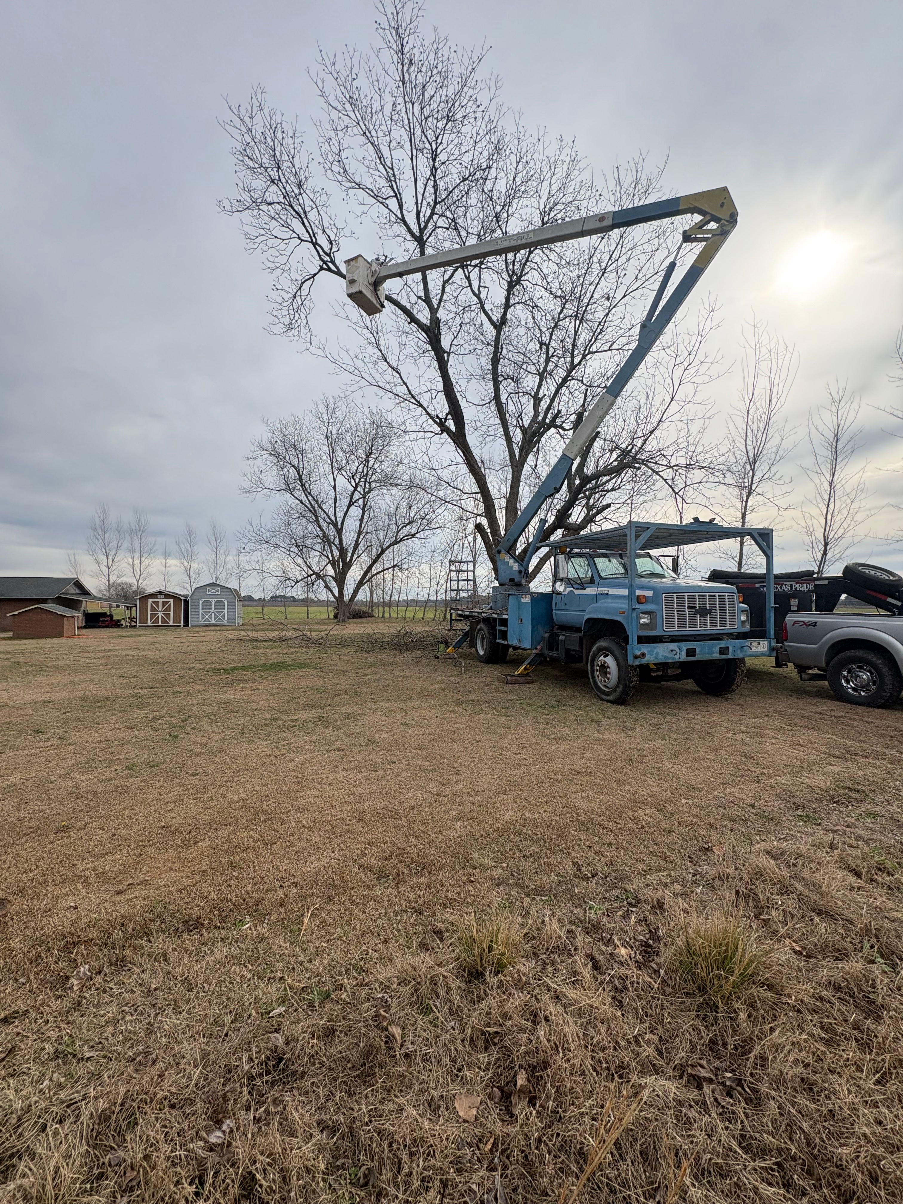  for T N L - Tree and Land Service in Reynolds, GA