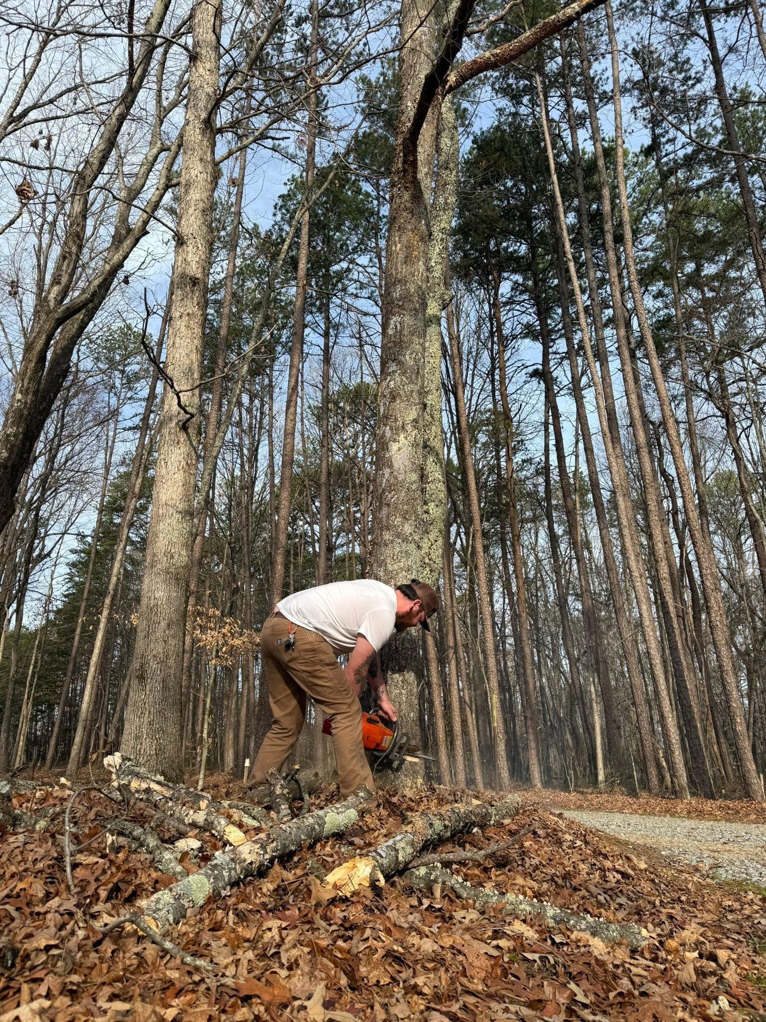  for Quartz Creek in Claremont, NC