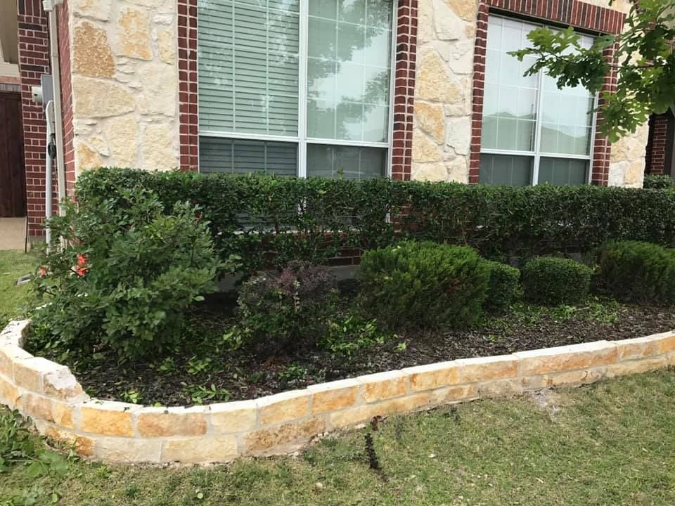 for Tree Valley Landscaping in Dallas, TX