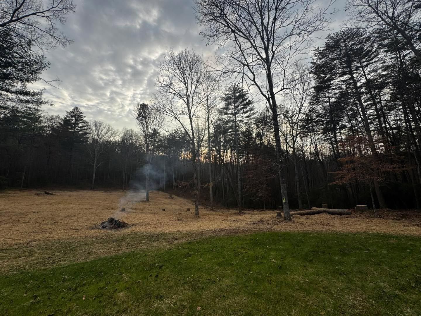  for C & D Landscaping Services, LLC in Blairsville, GA