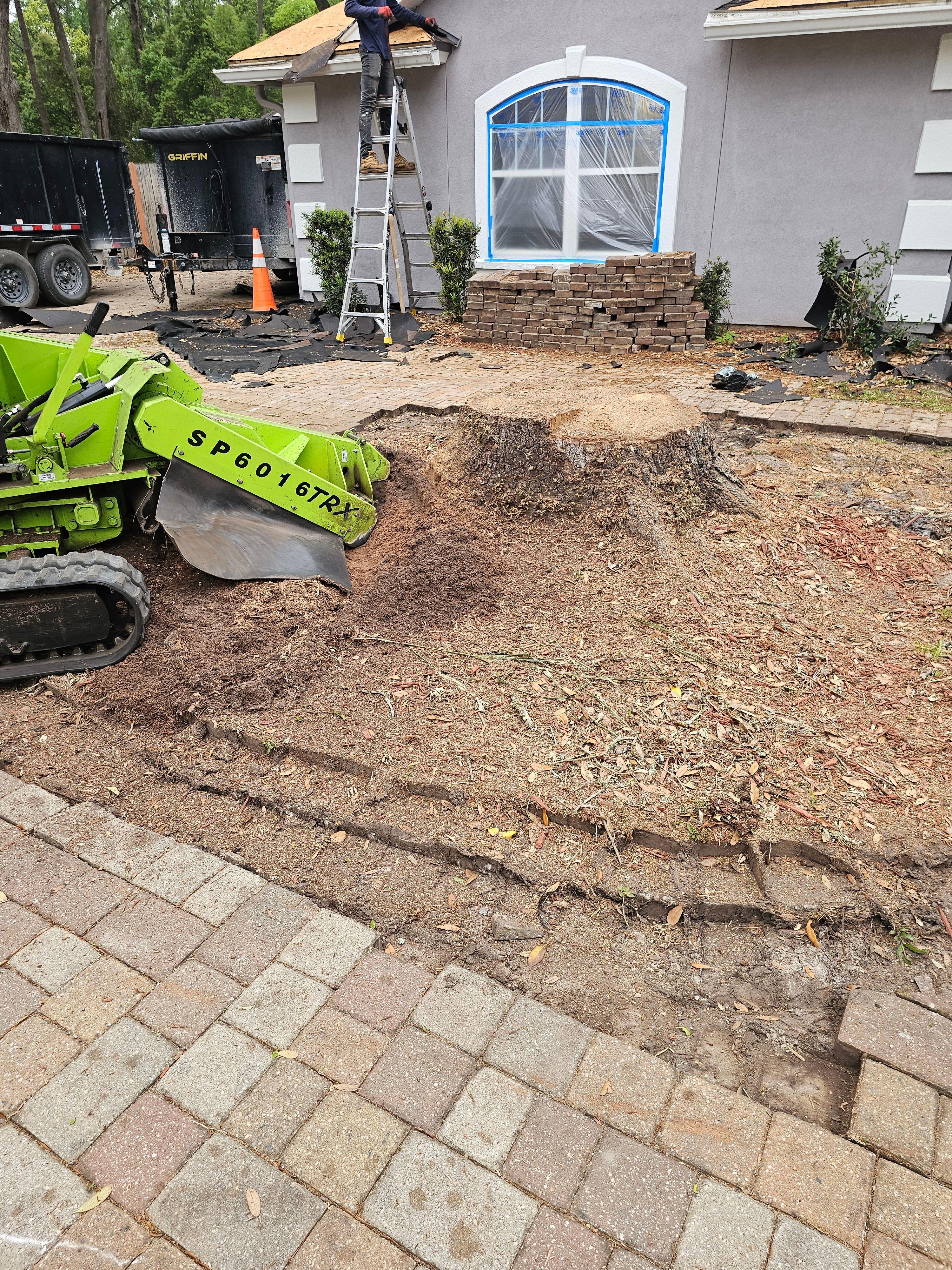  for Stumps done right LLC in Middleburg, FL