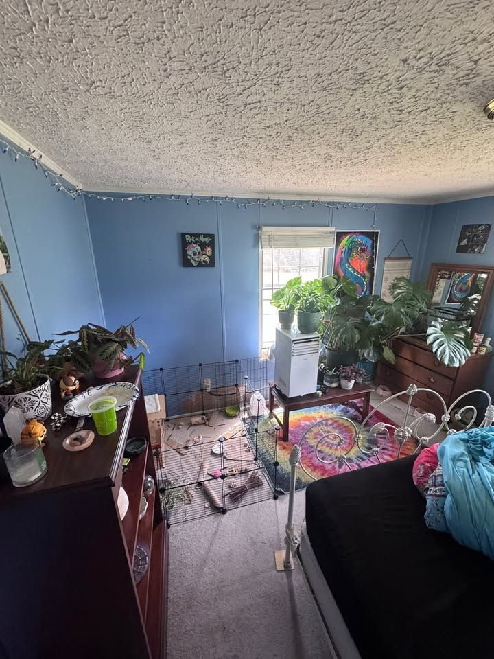  for Beach’s Handyman & Home Improvements in Roberta, GA