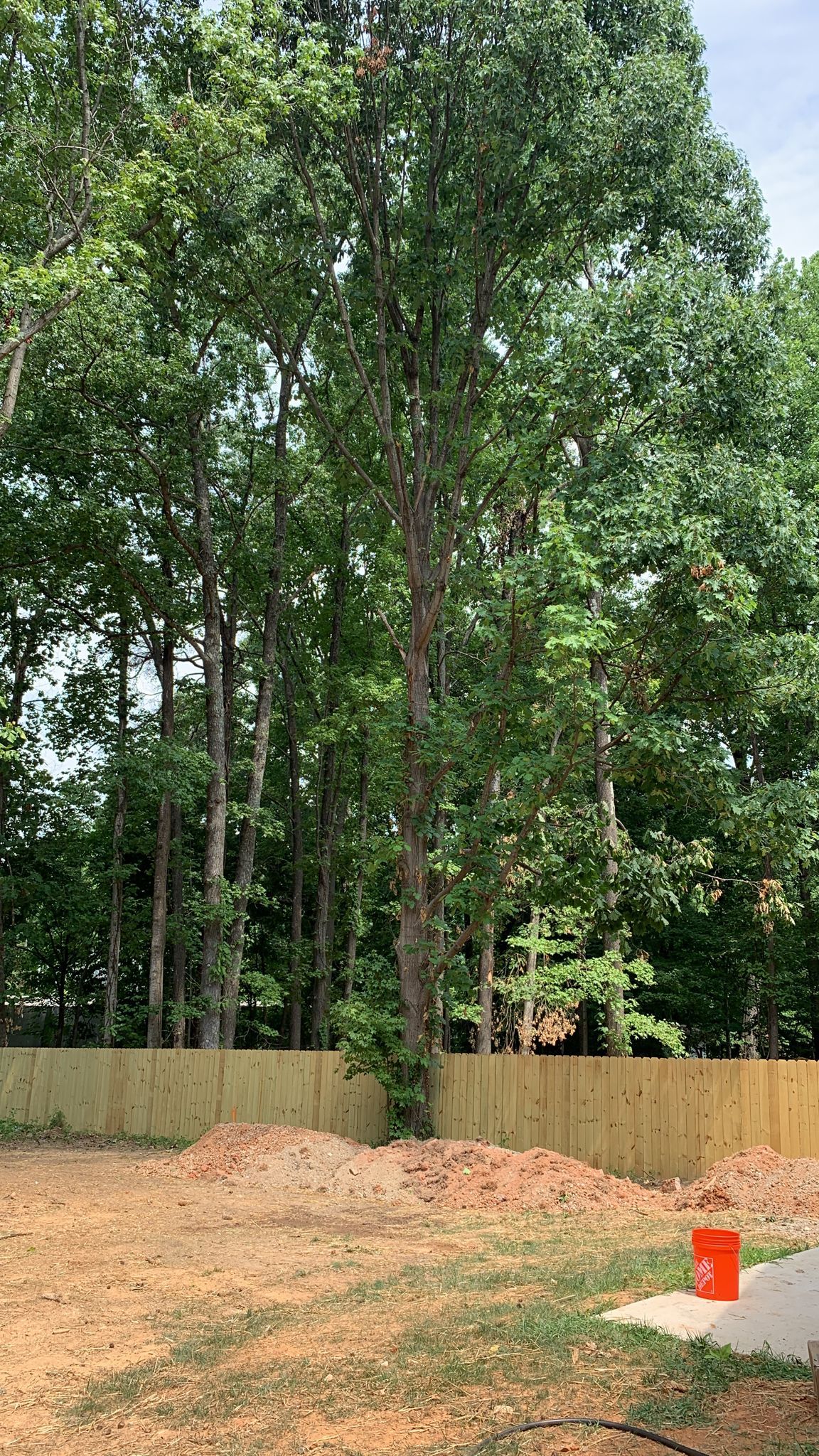  for Stem Tree Service in Belmont, NC