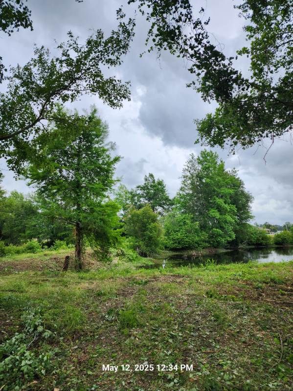 All Photos for TJ Farm and Land Management in Loris, SC