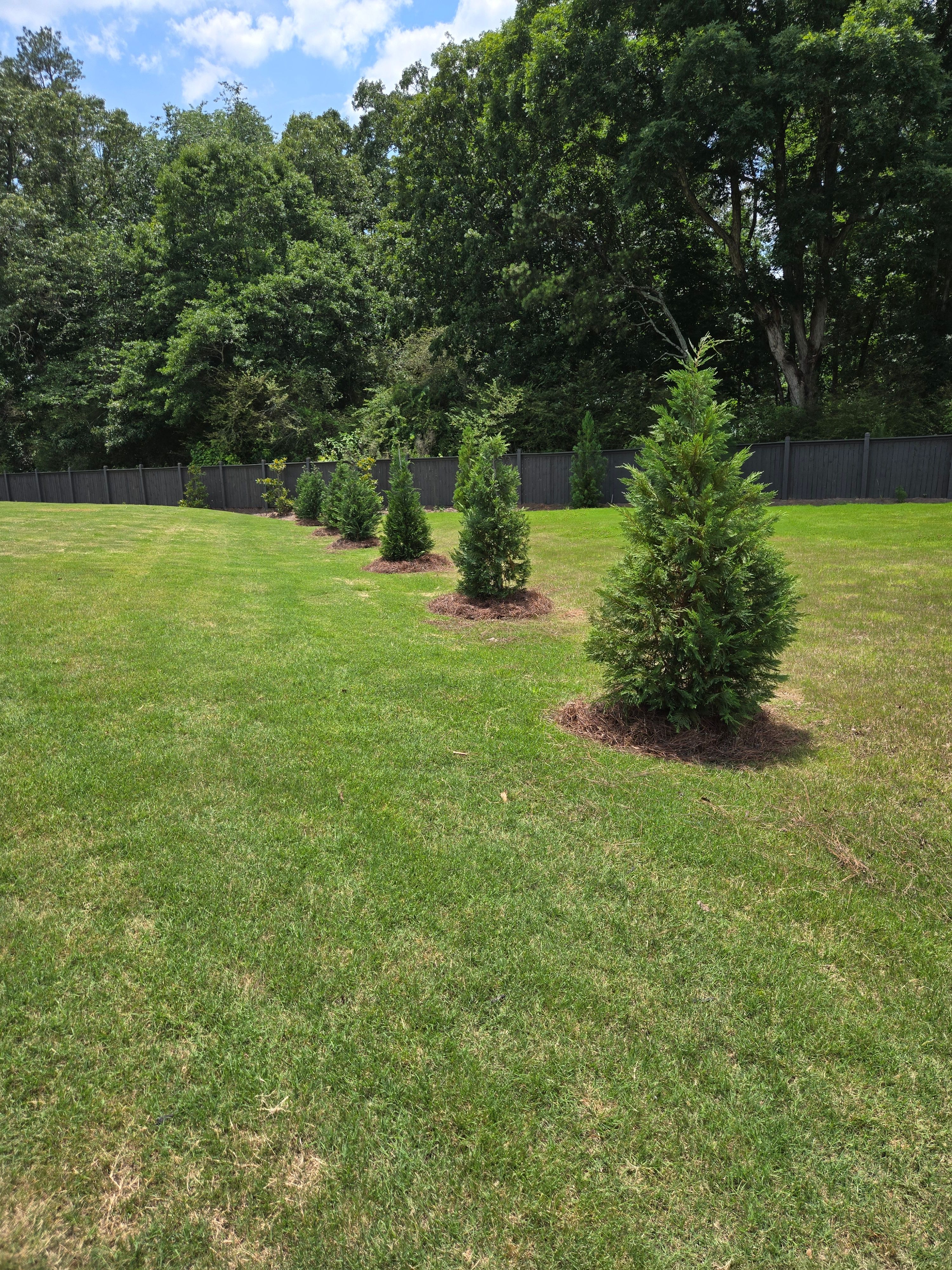  for Palmour's Lawn Care in Gainesville, GA
