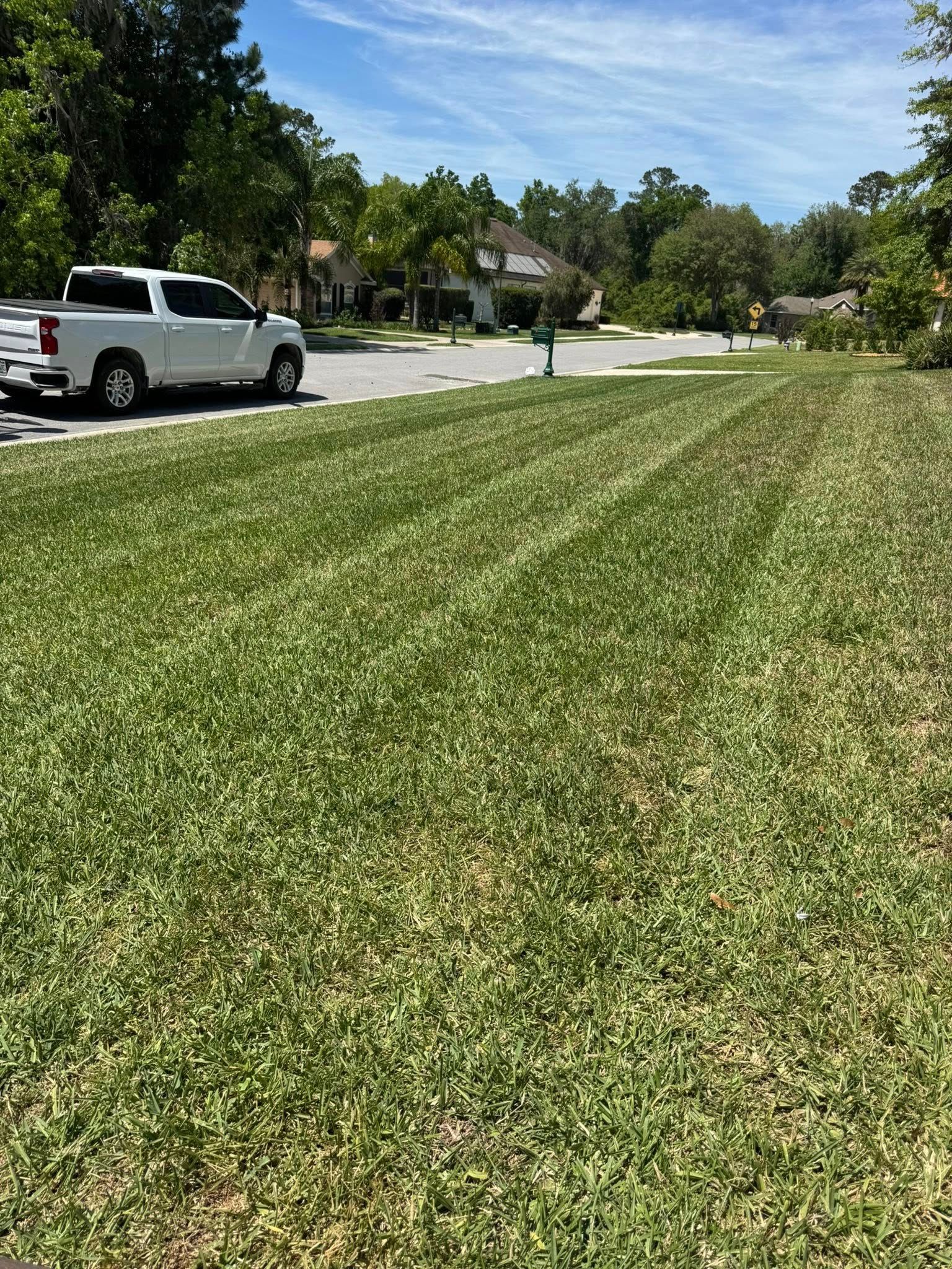 All Photos for Young's Lawn Services LLC in Ocala, FL