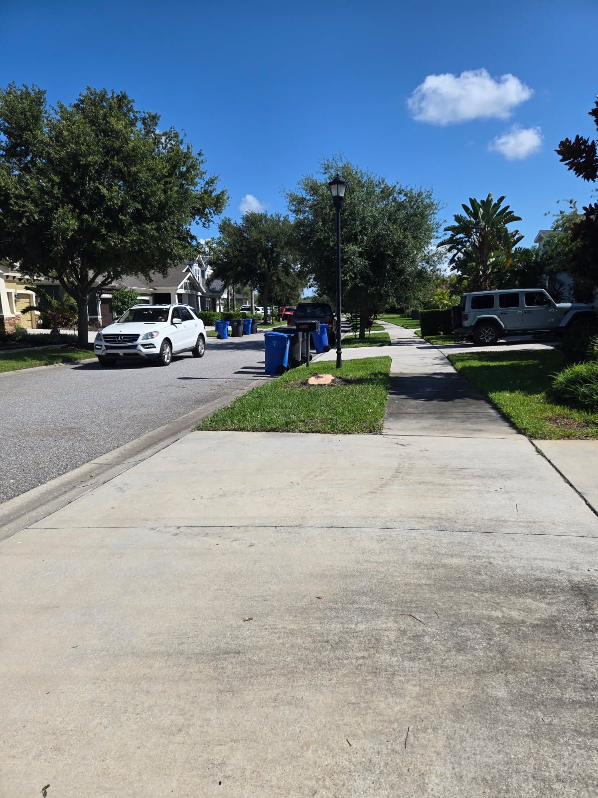 Tree Removal for TREE BOYS in Ruskin, FL