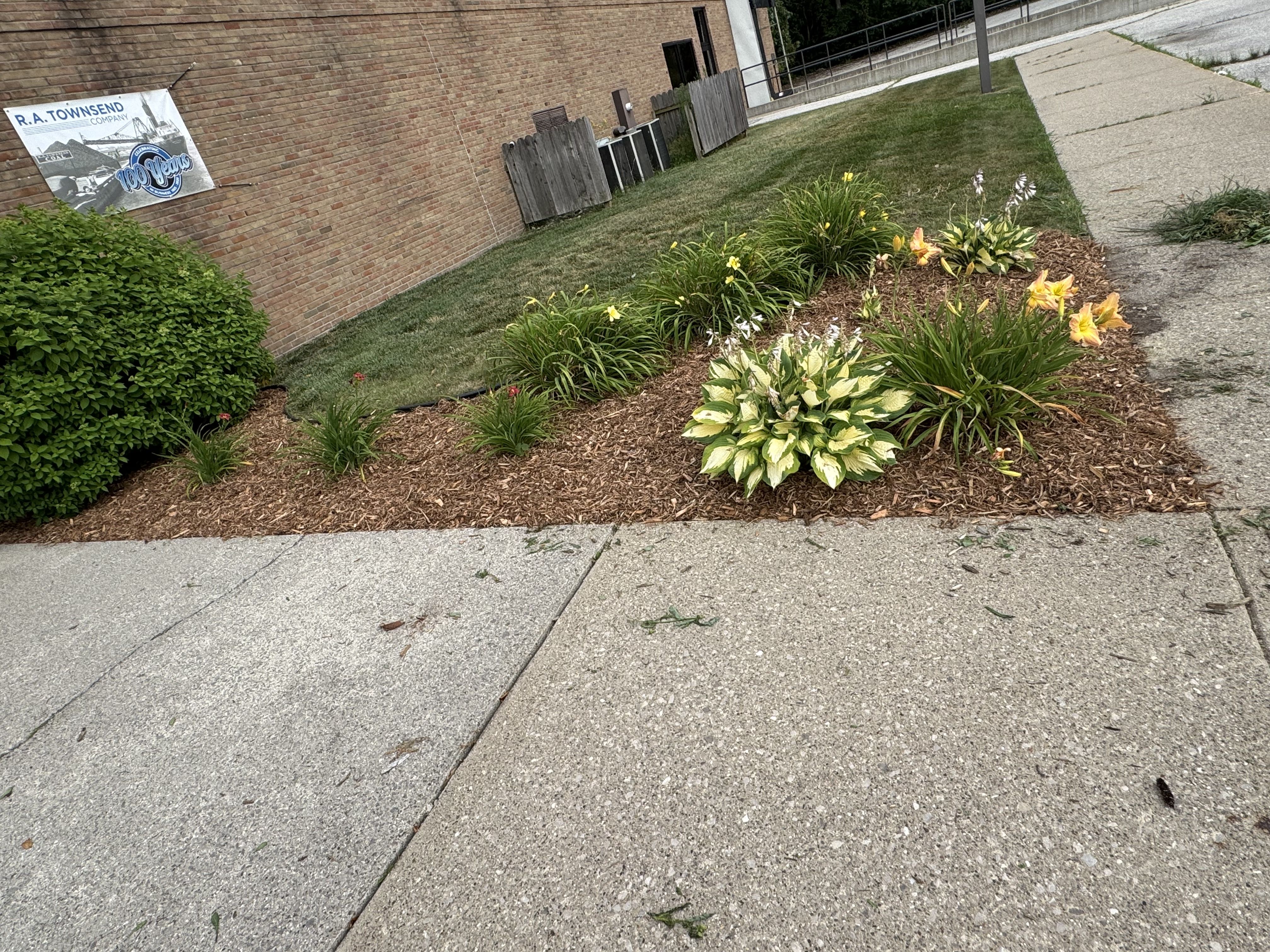  for Daugherty's Tough Lawn Care in Essexville, MI