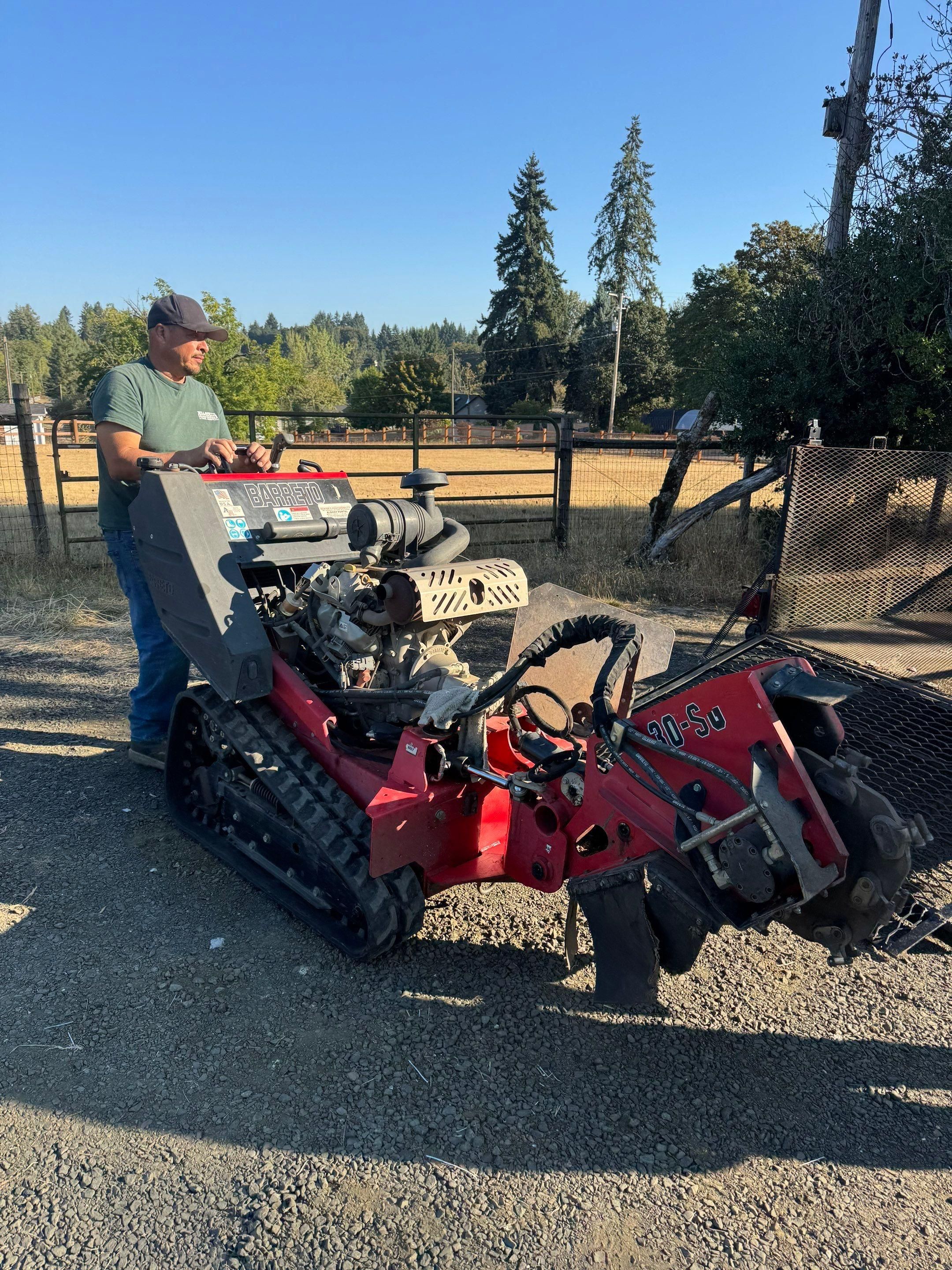 for Willamette Landscaping and Tree Services in Albany, OR