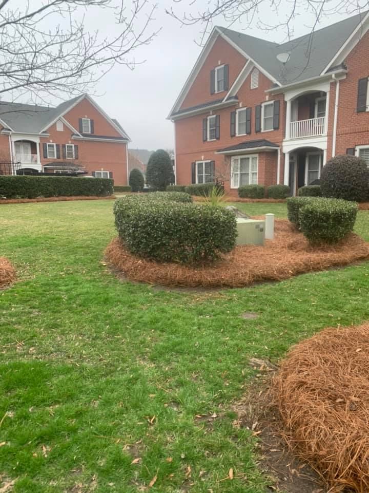  for Pecina Pine Needles in Monroe, NC