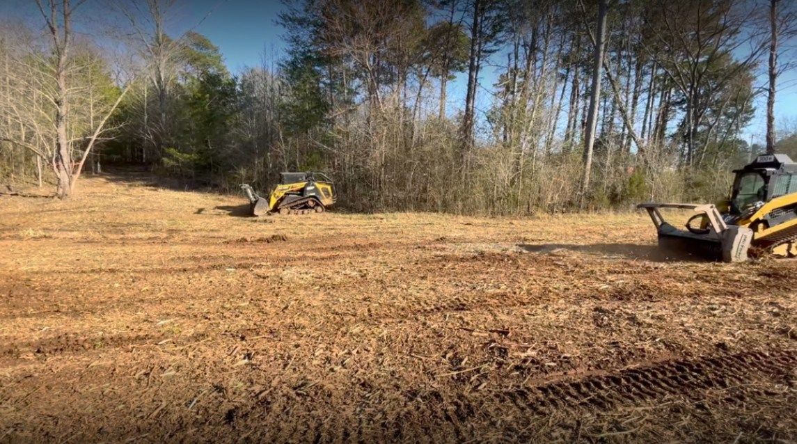 Tree Removal for Empire Tree Services in Mechanicsville, MD