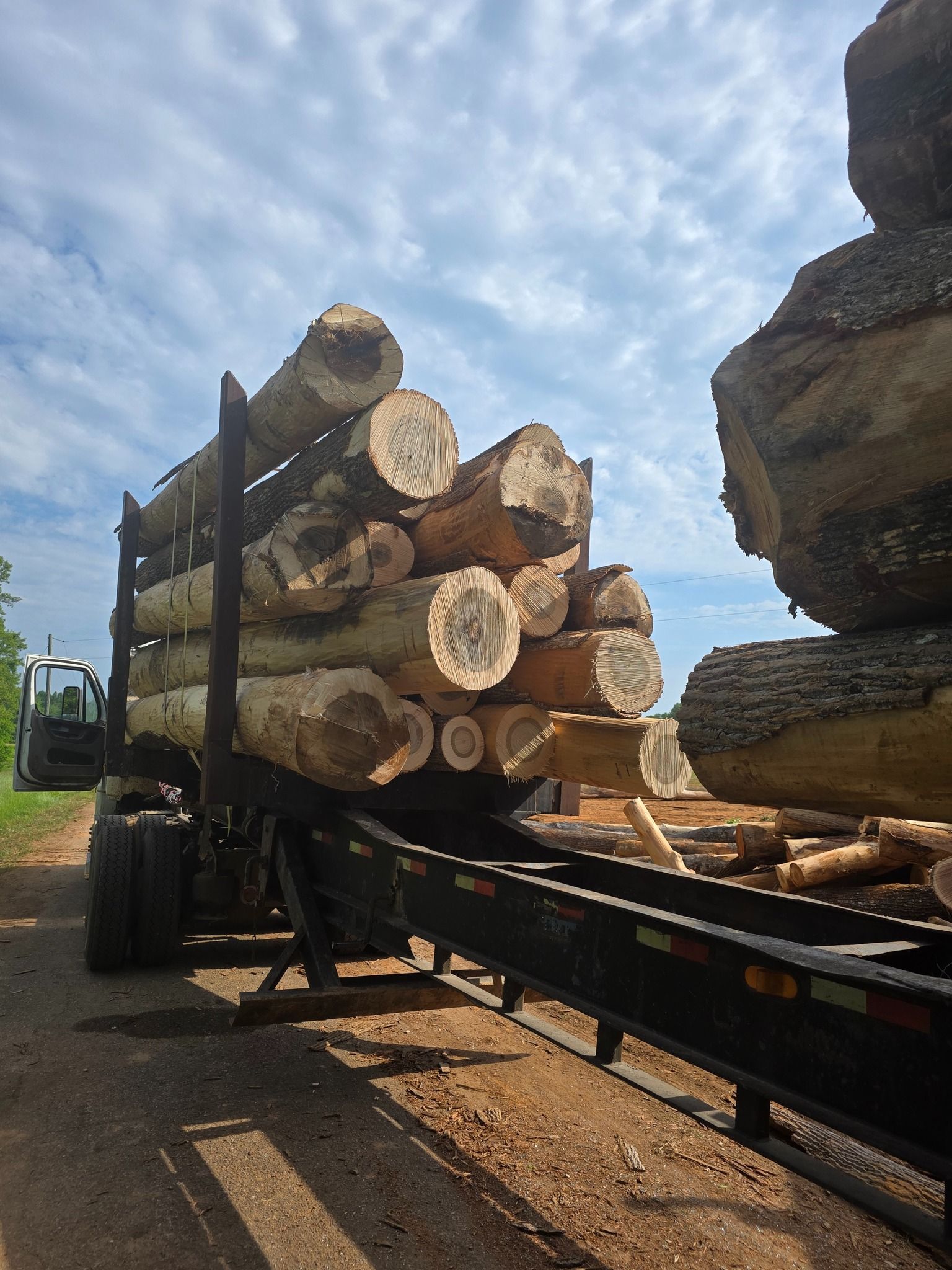  for 9 Oaks Tree Service and Excavation in Drakes Branch, VA