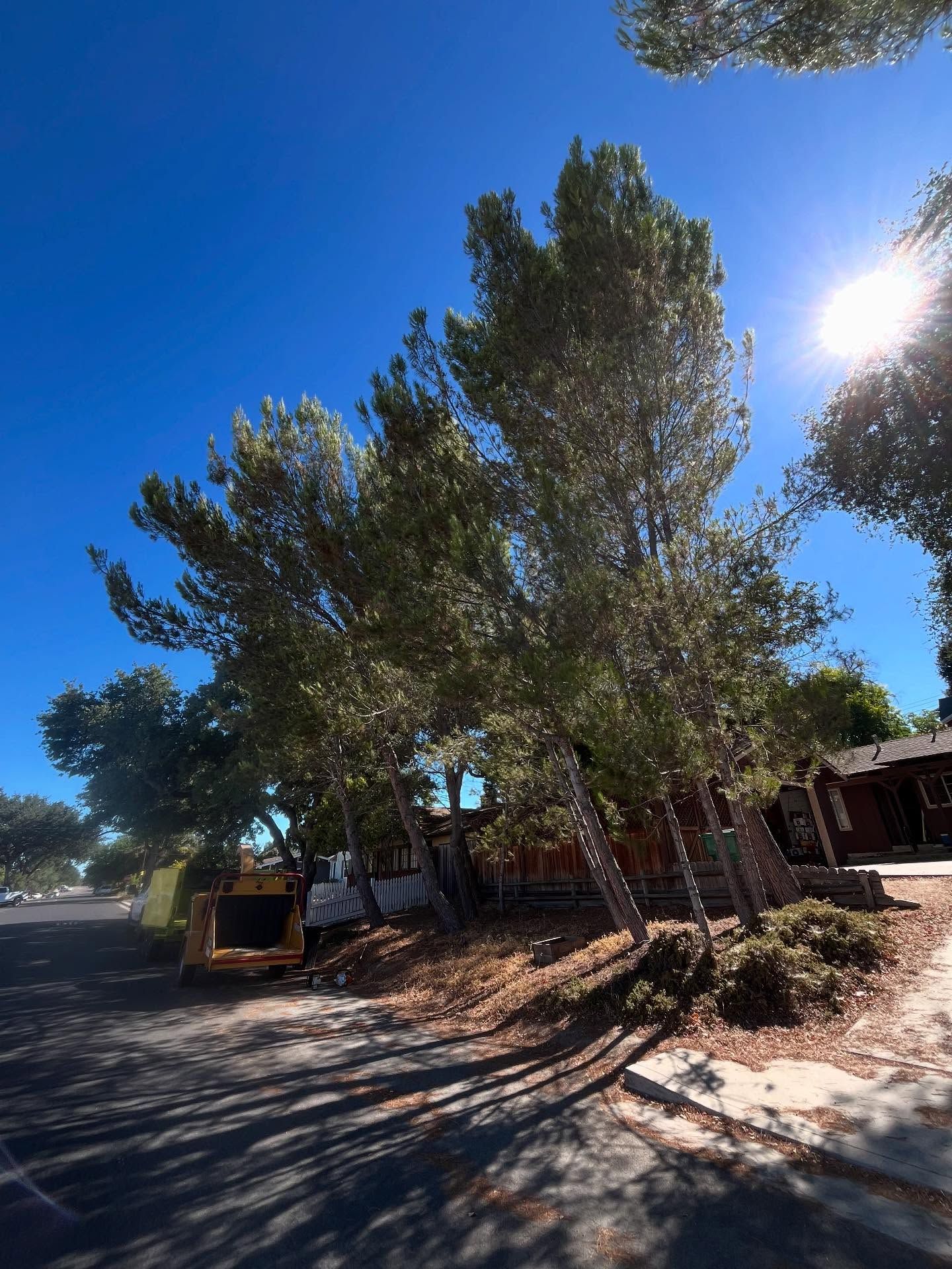  for A1 Junk & Tree Solutions, LLC in Paso Robles, CA