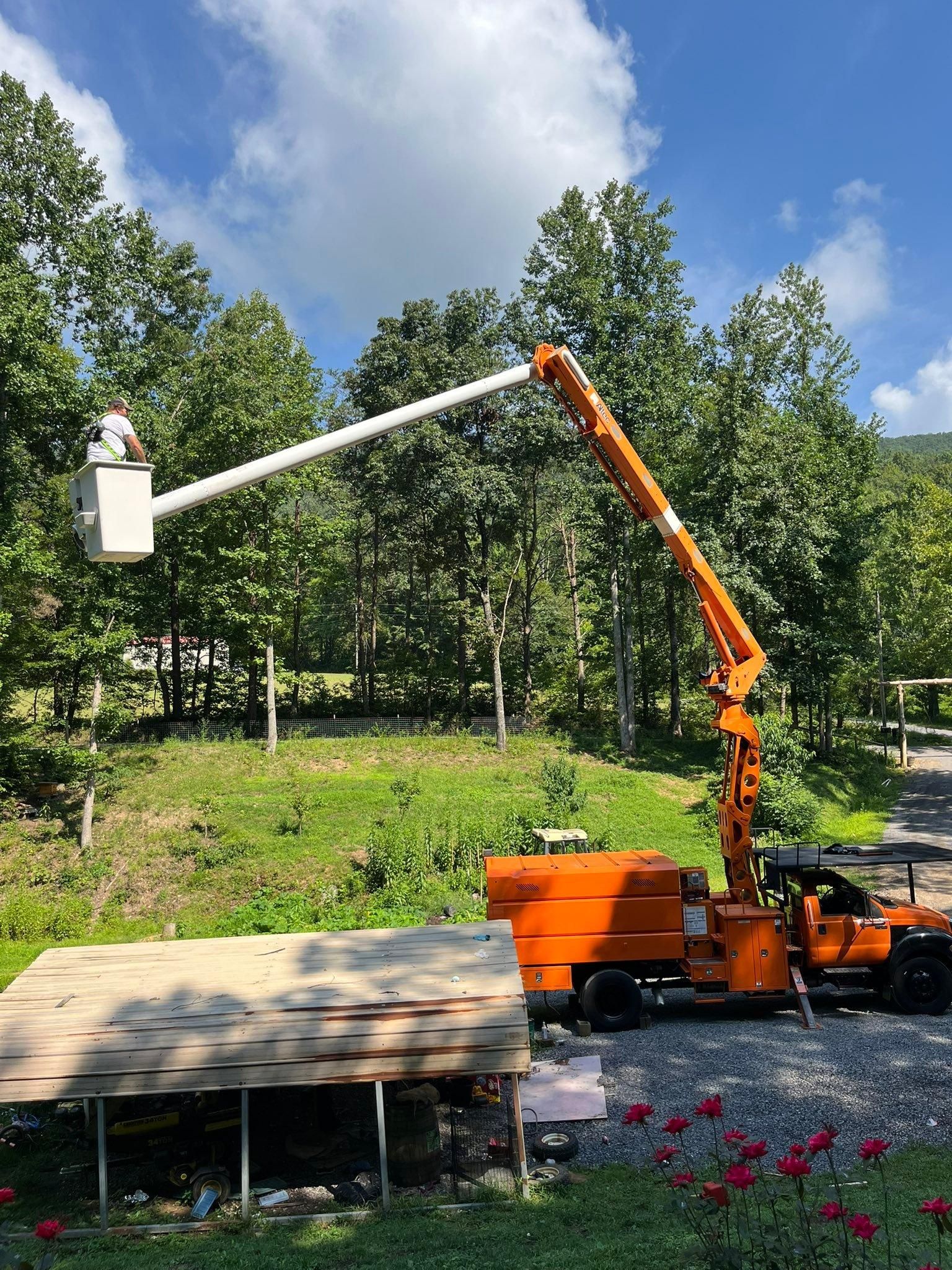  for Brocks Tree Service LLC in Rogersville, TN
