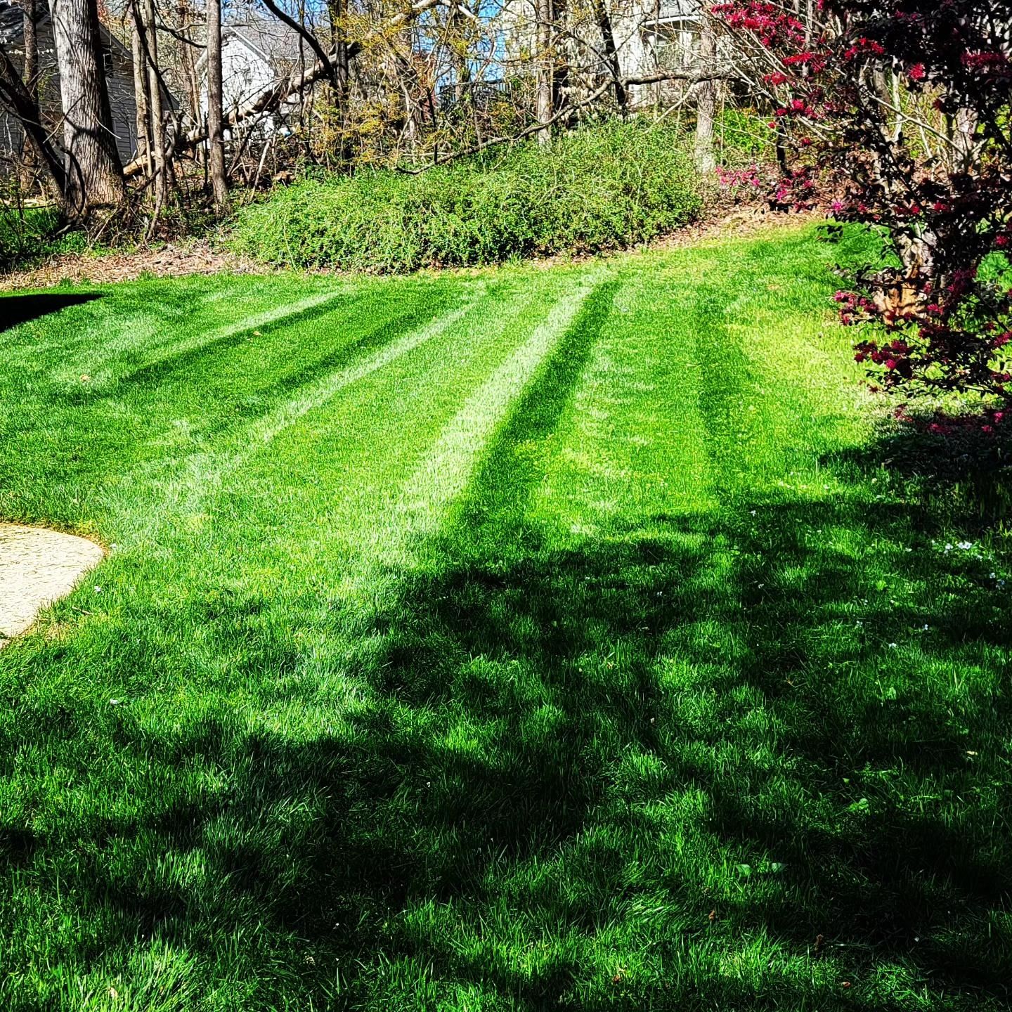  for Piedmont Lawn and Landscaping in Lexington, NC