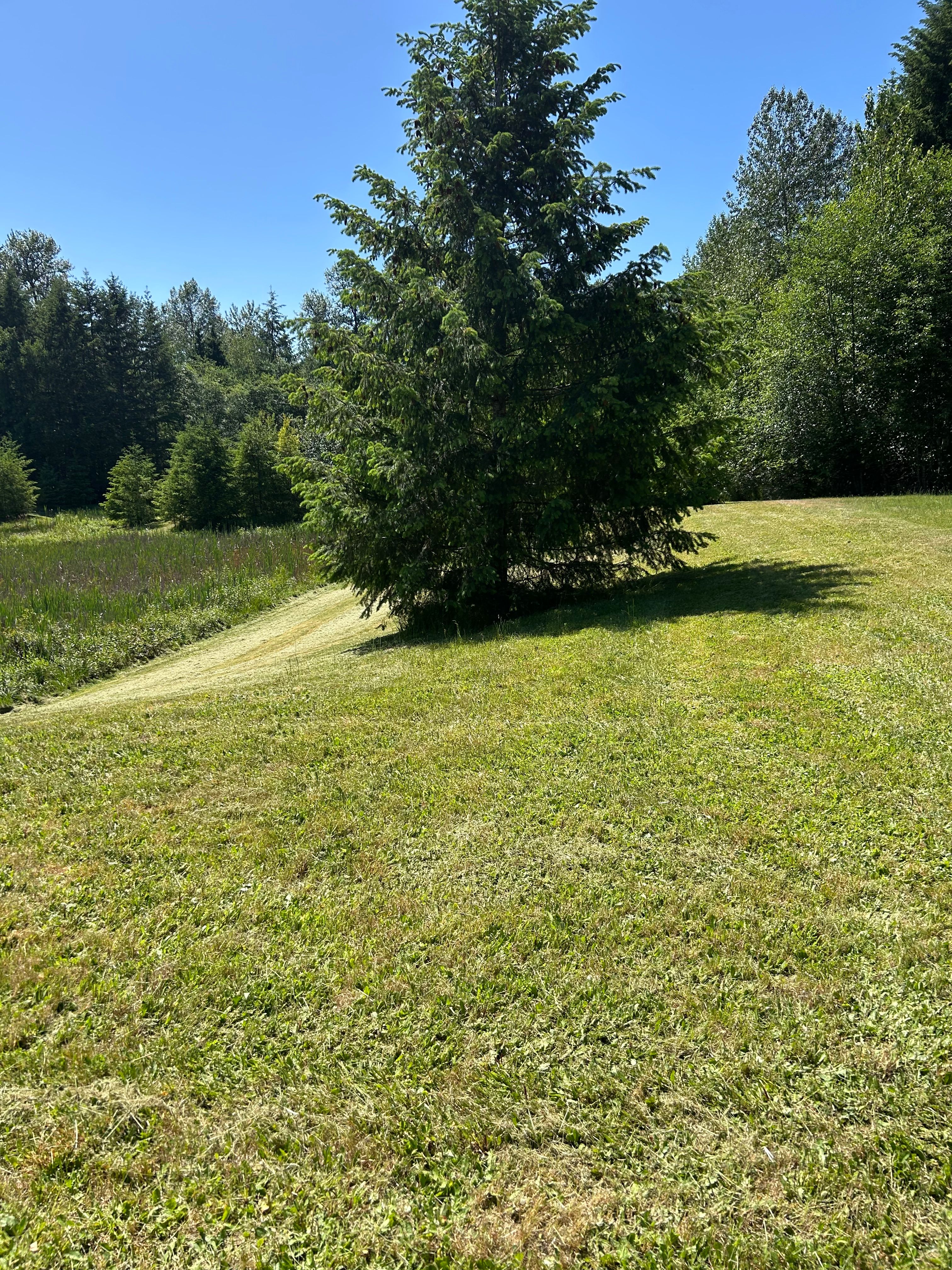 for Avenscapes NW, LLC in Getchell , WA