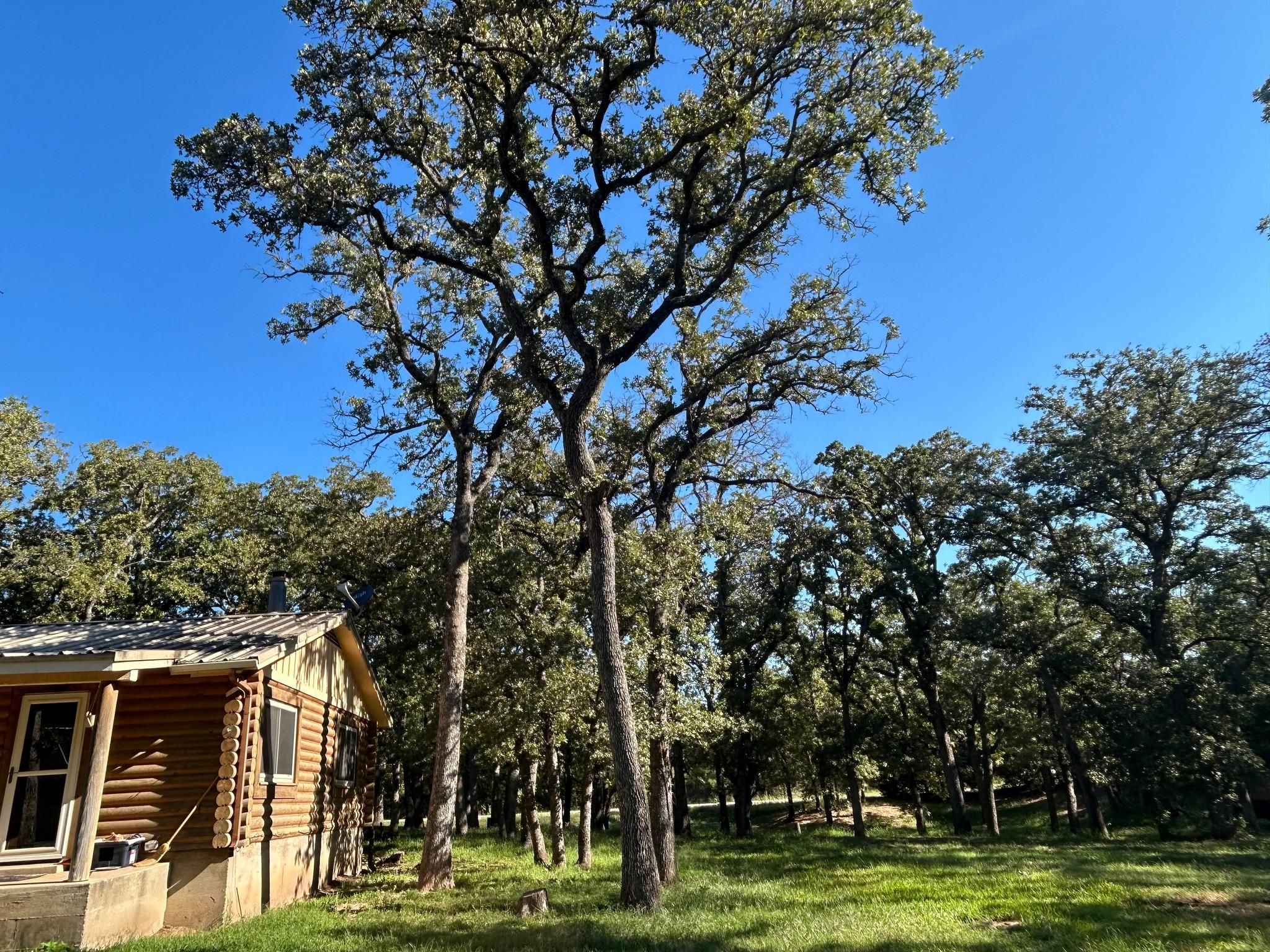  for Marks Tree Service in Fort Worth, TX