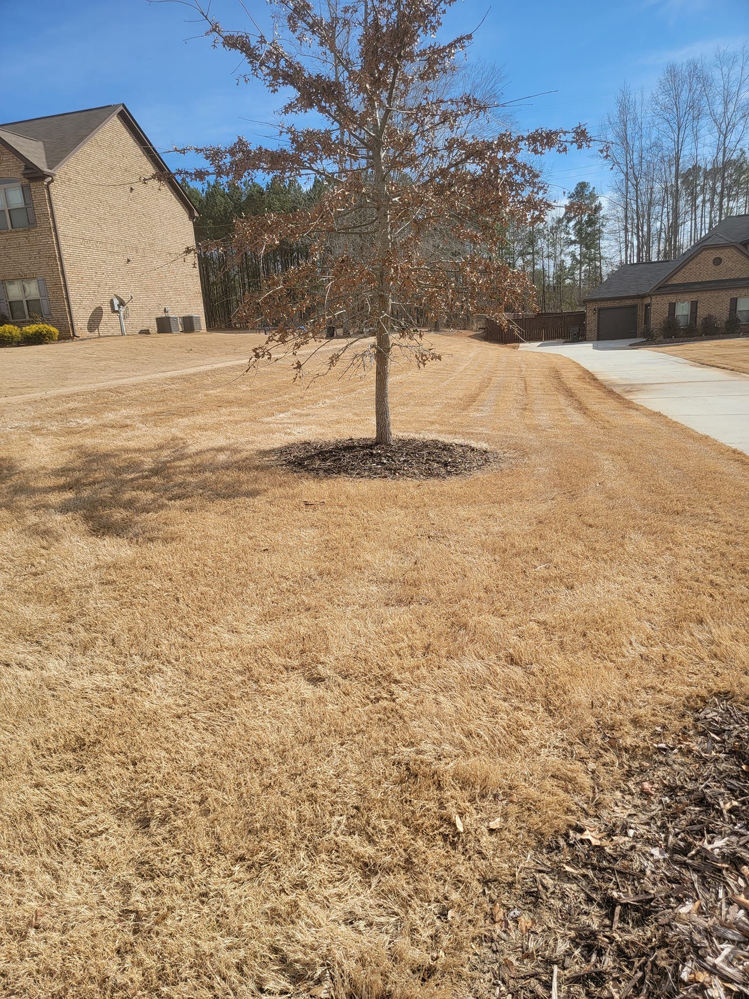  for Fantastic Lawn Care in Fayetteville, GA