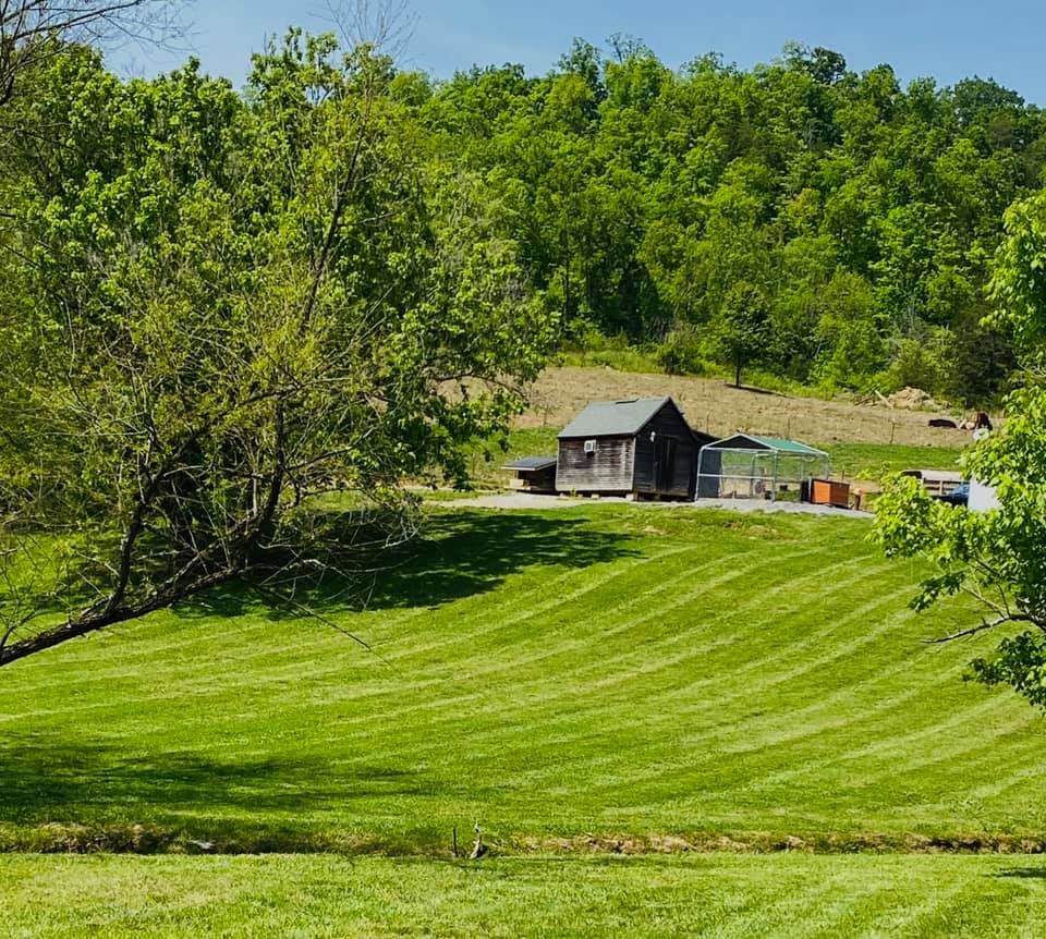 Lawn Care for Hays Lawn and Property Services in Clinton, TN