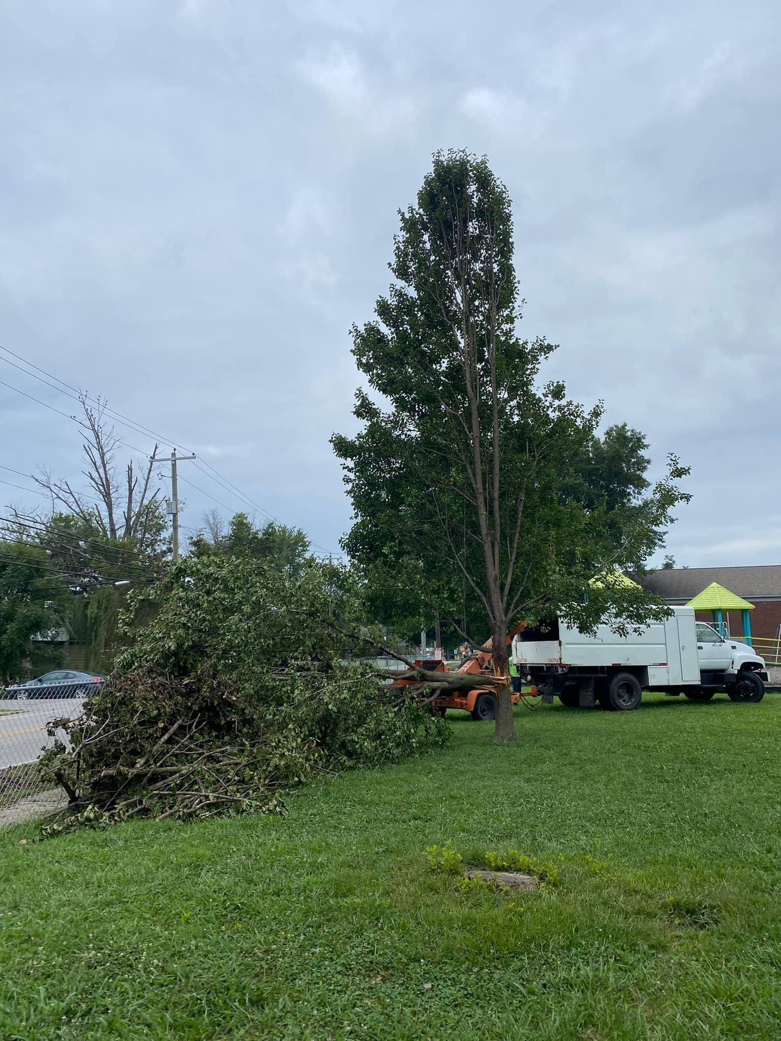 Fall and Spring Clean Up for Atwood’s Tree Care in Liberty,  KY