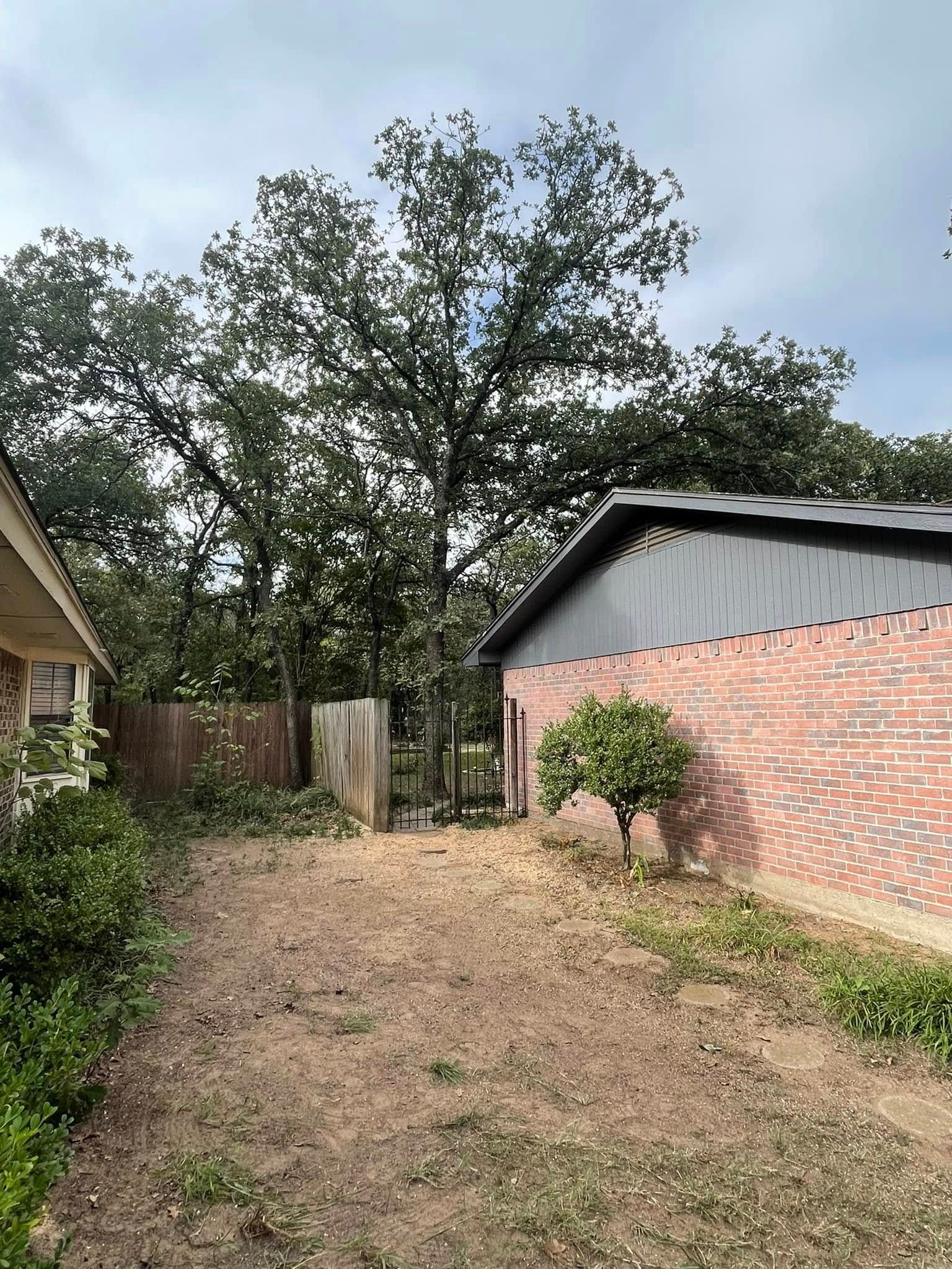  for Marks Tree Service in Fort Worth, TX