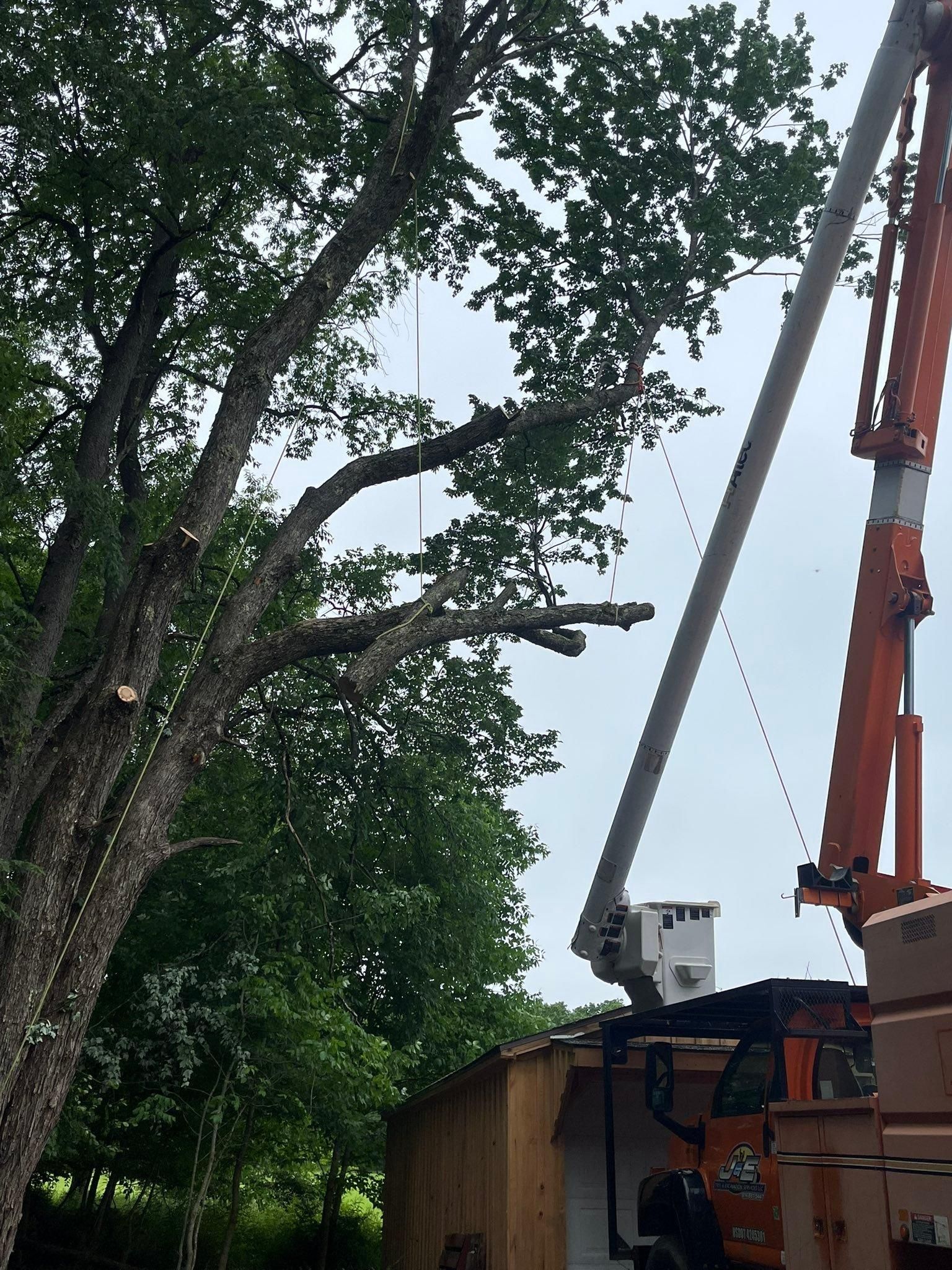  for J&E Tree & Excavation Services in Sandy, PA
