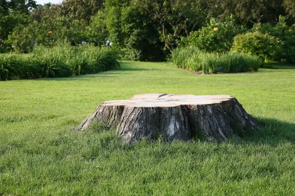 Stump Grinding for Otis Lee Stump Grinding LLC in Elgin, SC