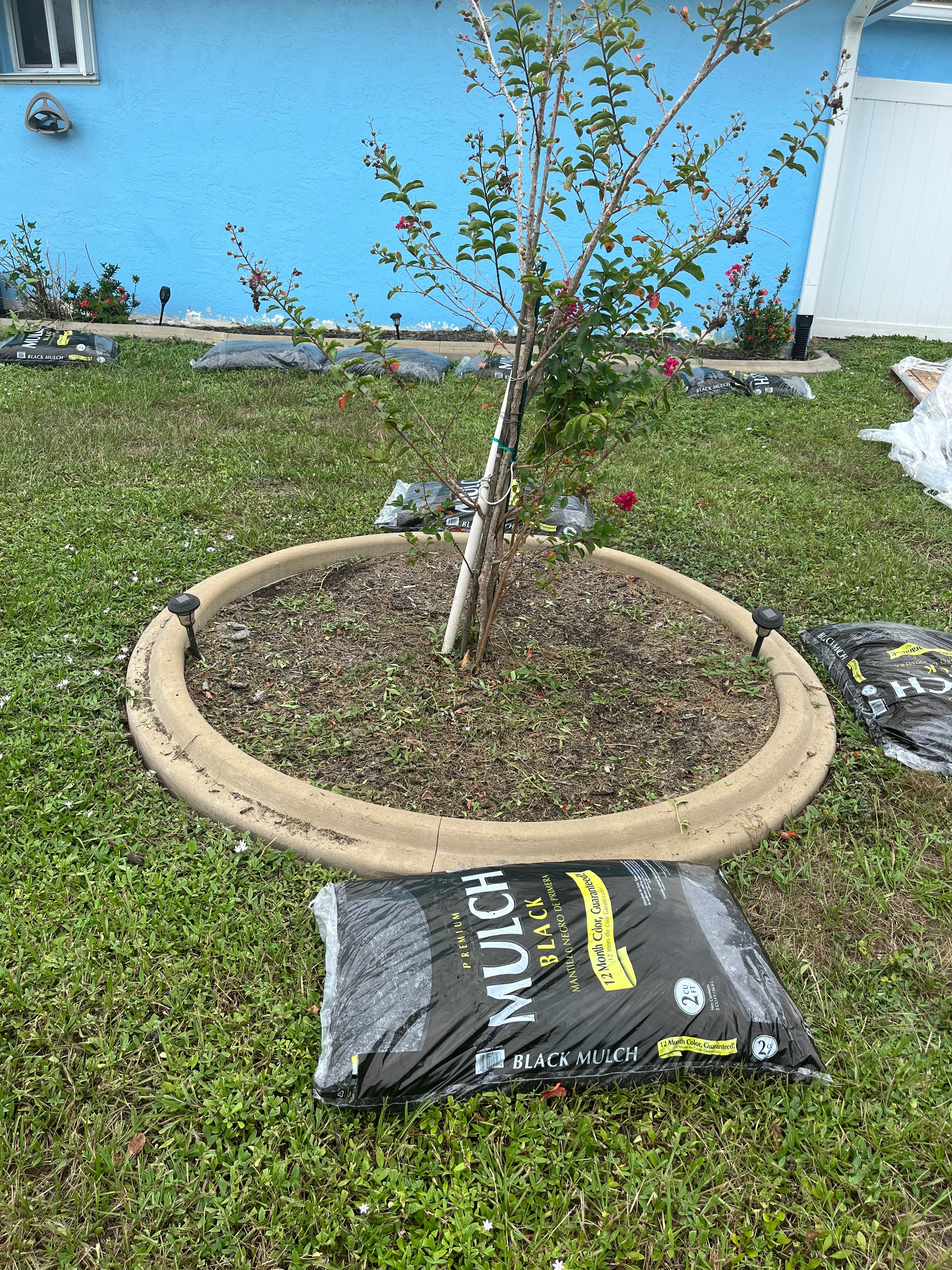  for Space Coast Property Maintenance and Management LLC in Melbourne, FL