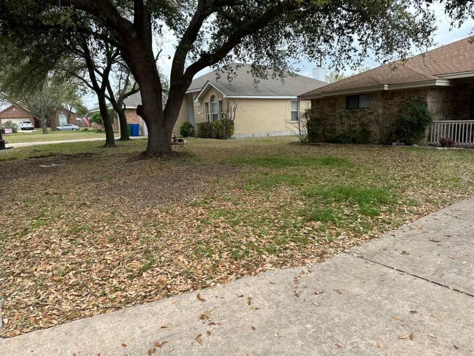 Mowing for Allen Lawn Care in Taylor, Texas