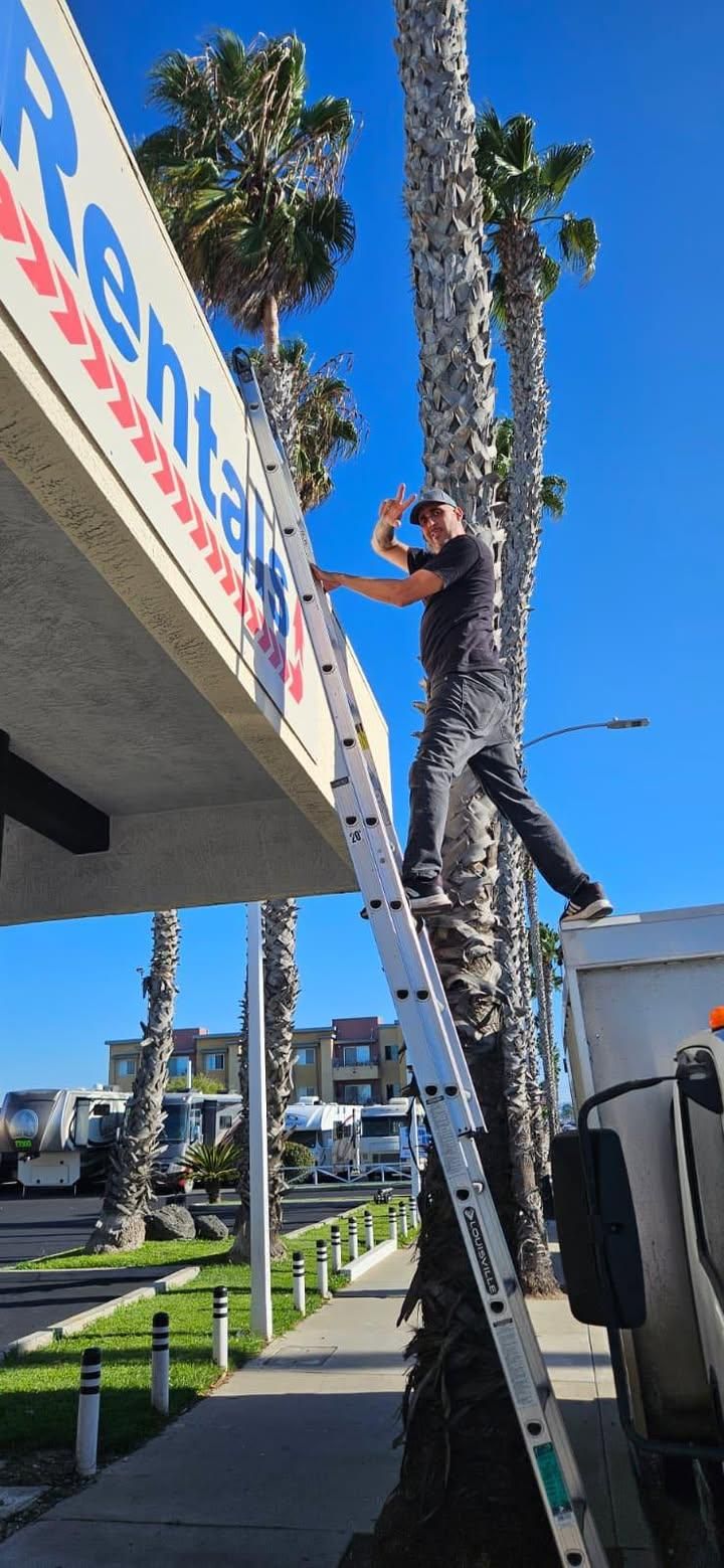 All Photos for Amazing View Services in San Diego, CA